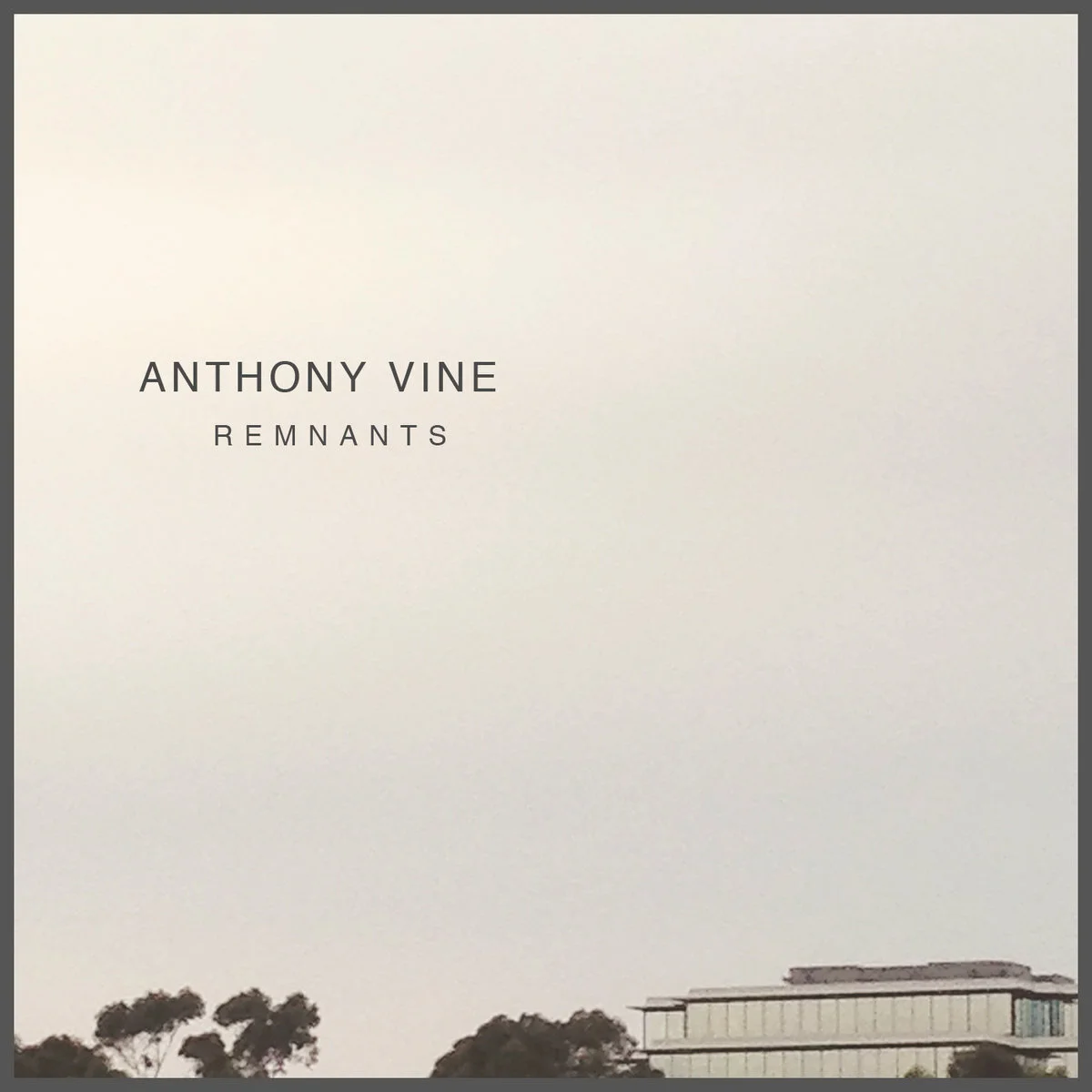 ANTHONY VINE: REMNANTS