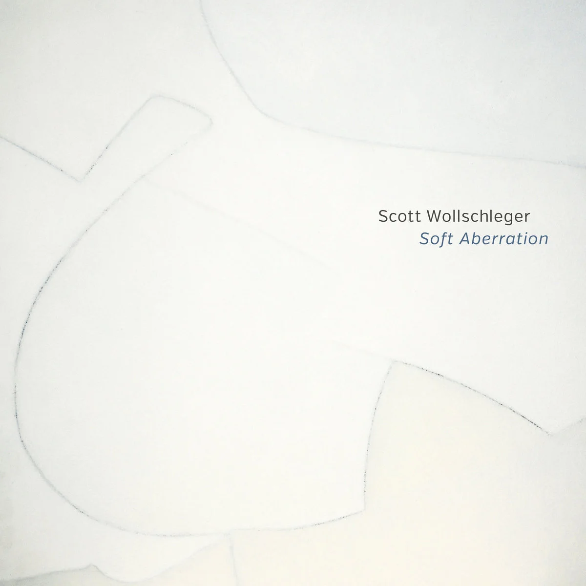 SCOTT WOLLSCHLEGER: SOFT ABERRATION