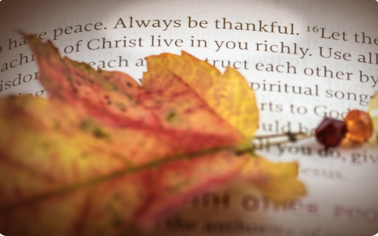 Gratitude That Grows: Helping Church Leaders Nurture Generosity as a Path to Discipleship