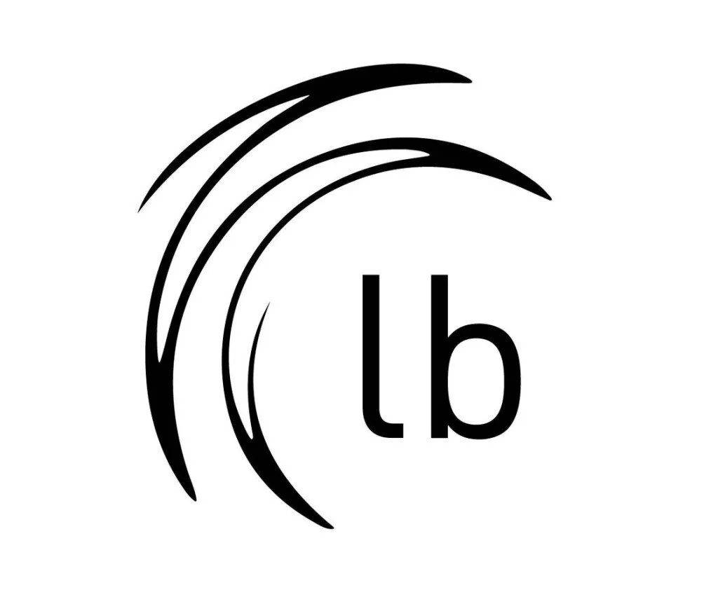 CALL FOR PAPERS: LIQUID BLACKNESS JOURNAL 6.1 “AESTHETICS”