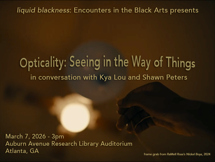 OPTICALITY: SEEING IN THE WAY OF THINGS