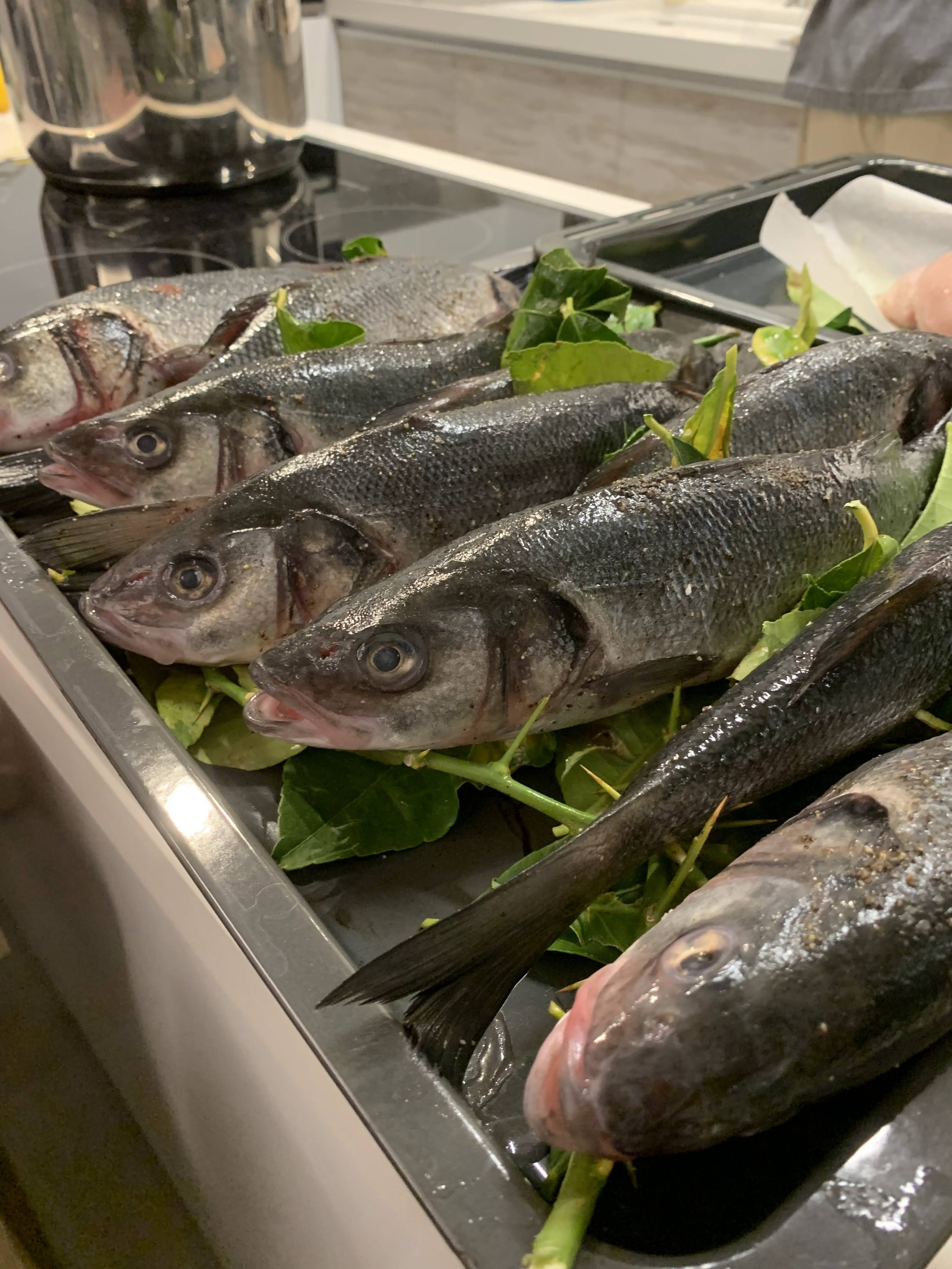 Fresh fish on bed of leafy greens in kitchen
