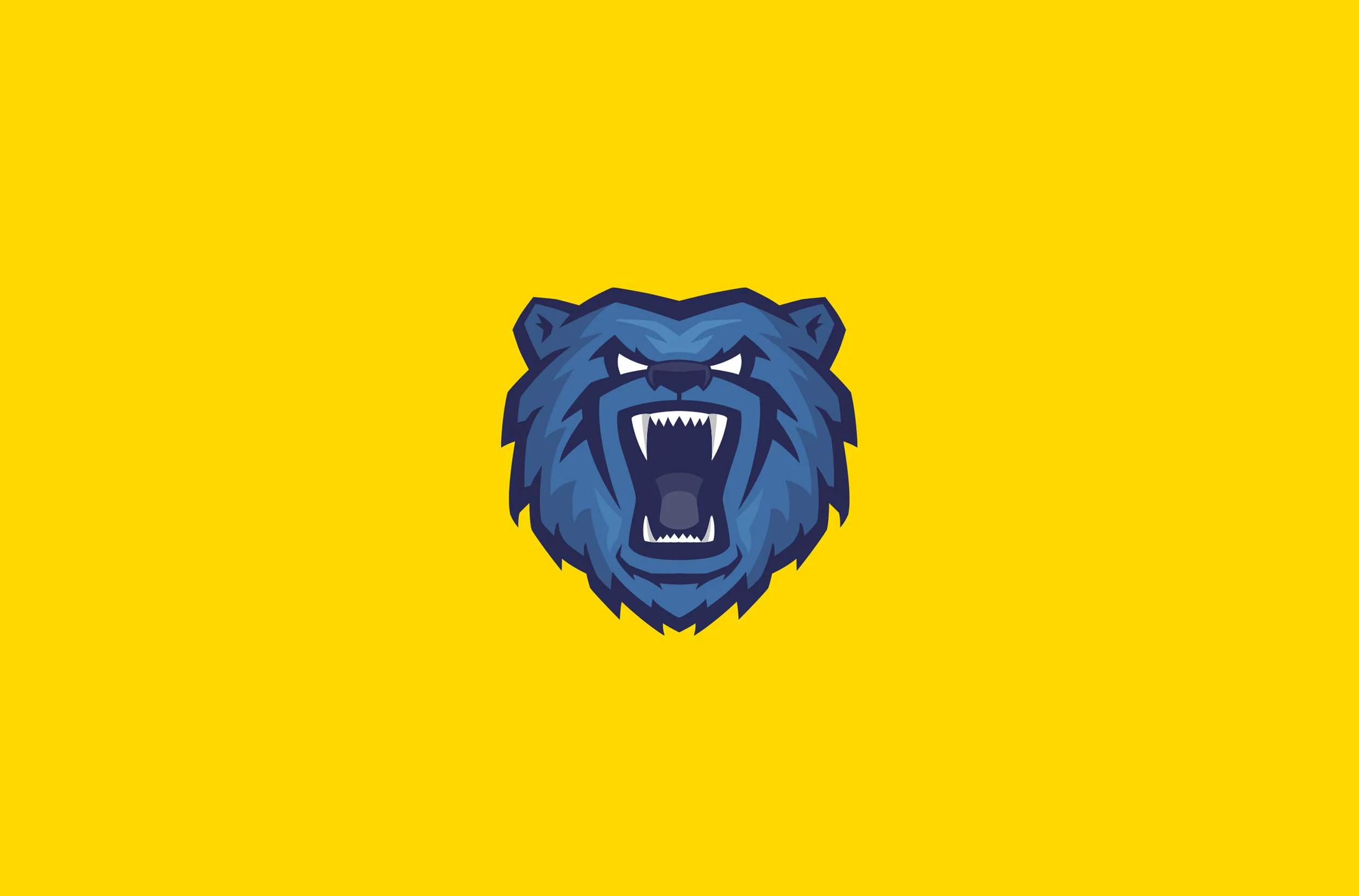 Birmingham Bears Andy Aitken Design Brand Identity