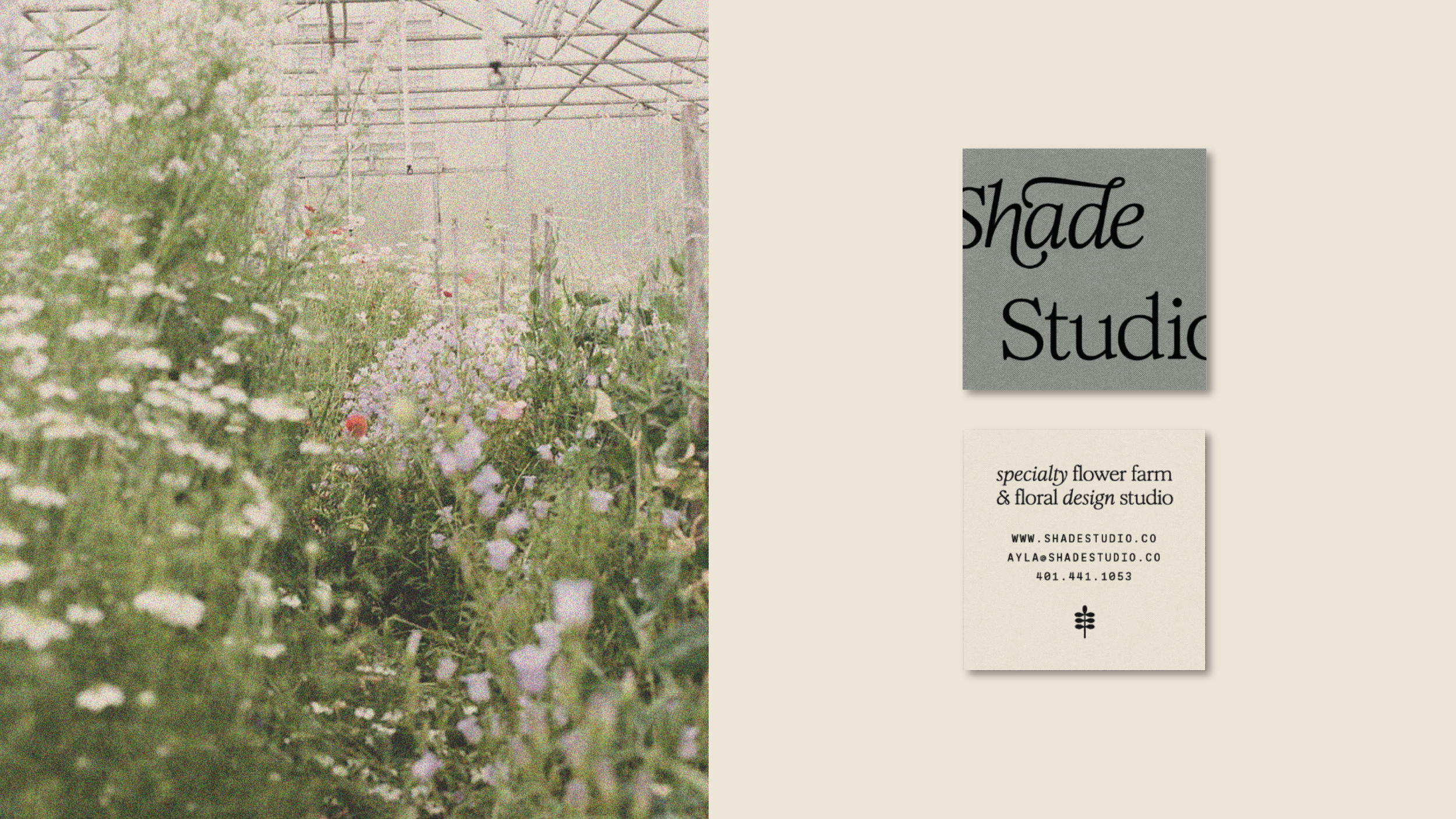 ShadeStudio-Web-03.png