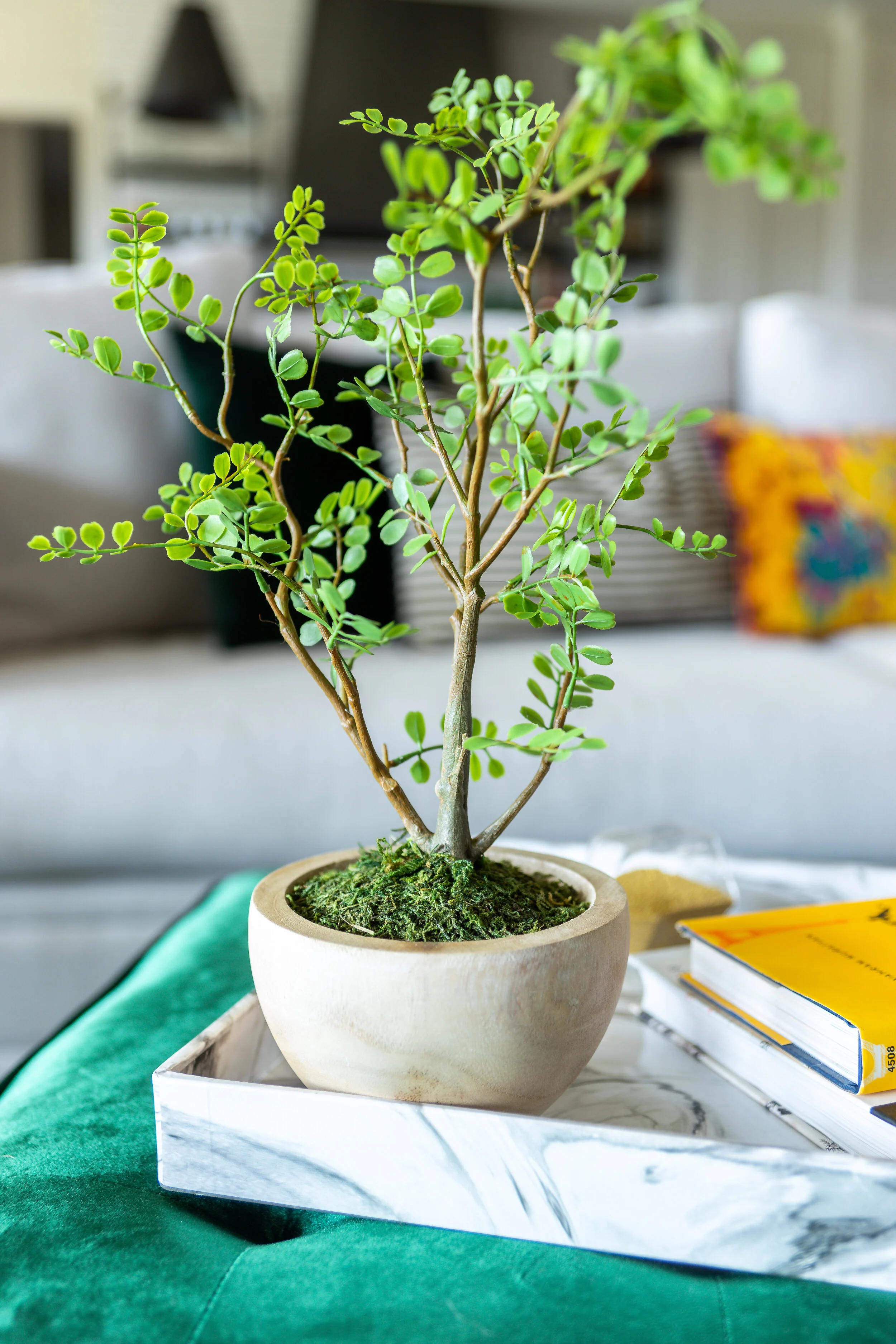 HickmanS_LynaeWood_ScrivanoLiving_plantdetail.jpg