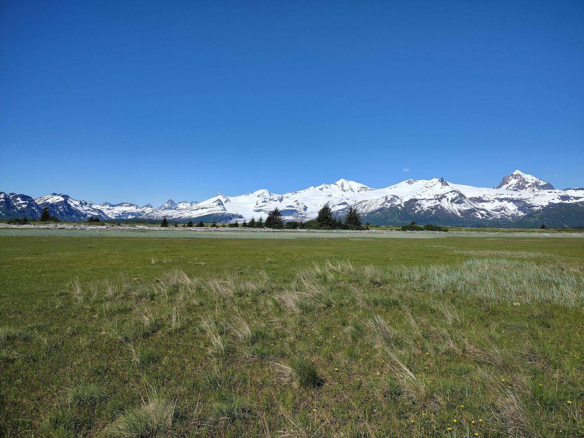 Anticipation fills the air for the snow to begin melting in the upcoming months, eventually showing us signs of spring. The coastal bays will transform into a beautiful landscape, filled with lush green grasses. This flourishing environment gives ris