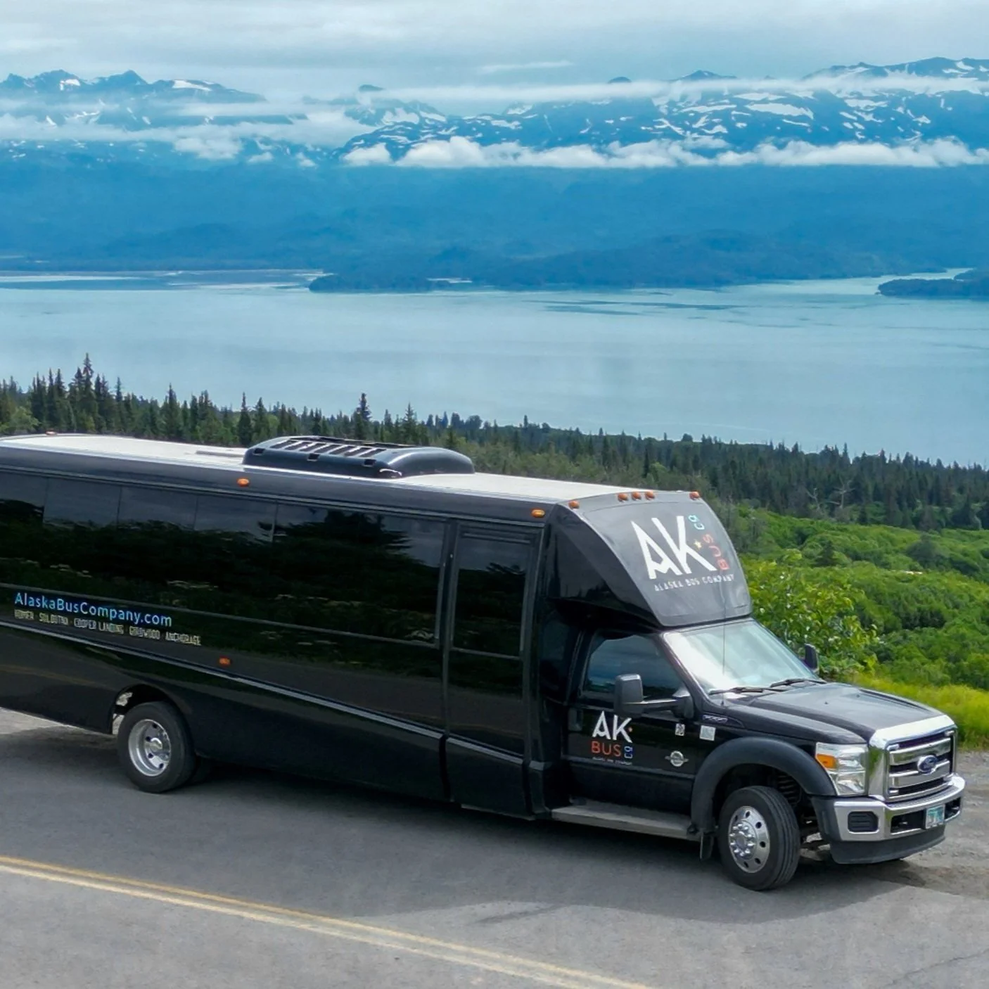 Travel Homer — Beluga Air