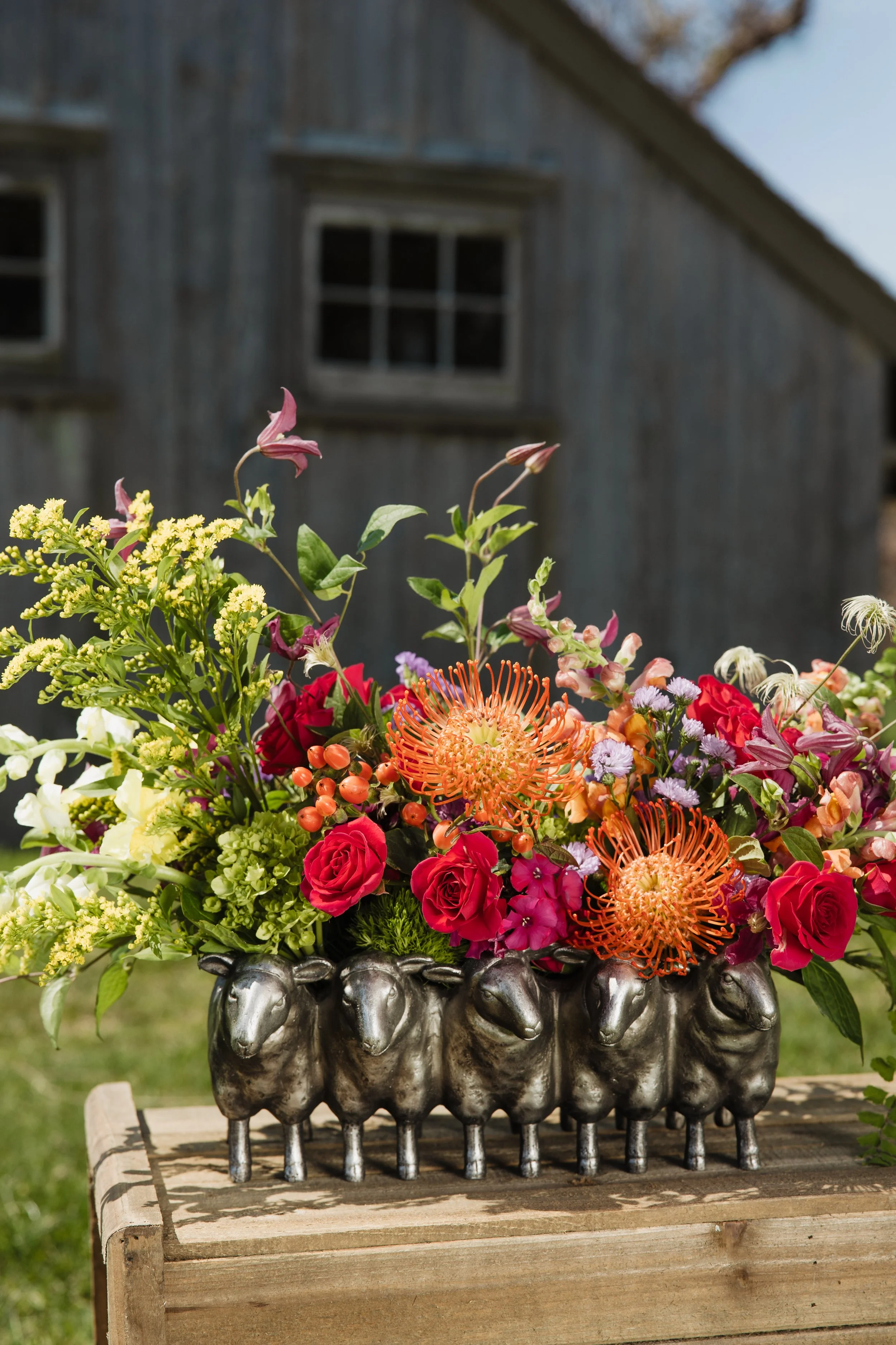 Donaroma -April 16, 2026-098- Larisa Stinga Photography.jpg