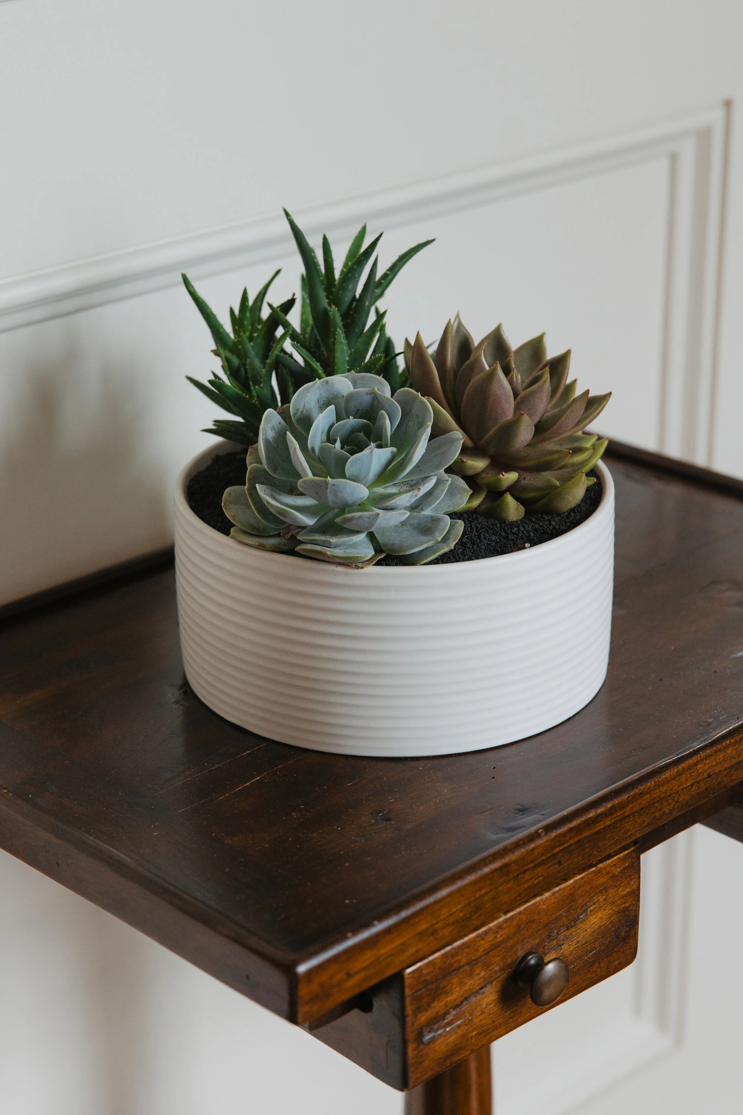 Donaroma -April 18, 2026-062- Larisa Stinga Photography.jpg