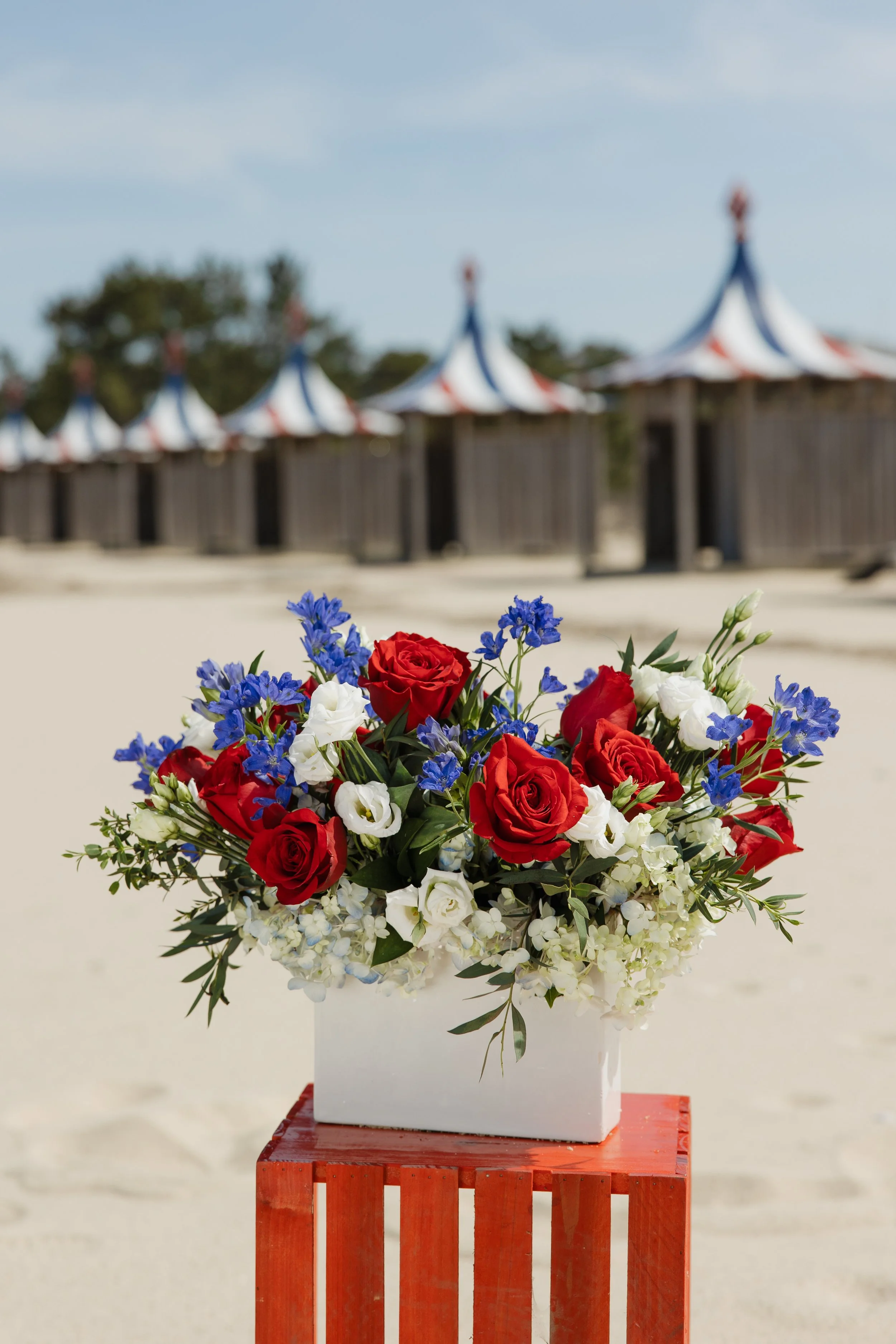 Donaroma -April 16, 2026-187- Larisa Stinga Photography.jpg