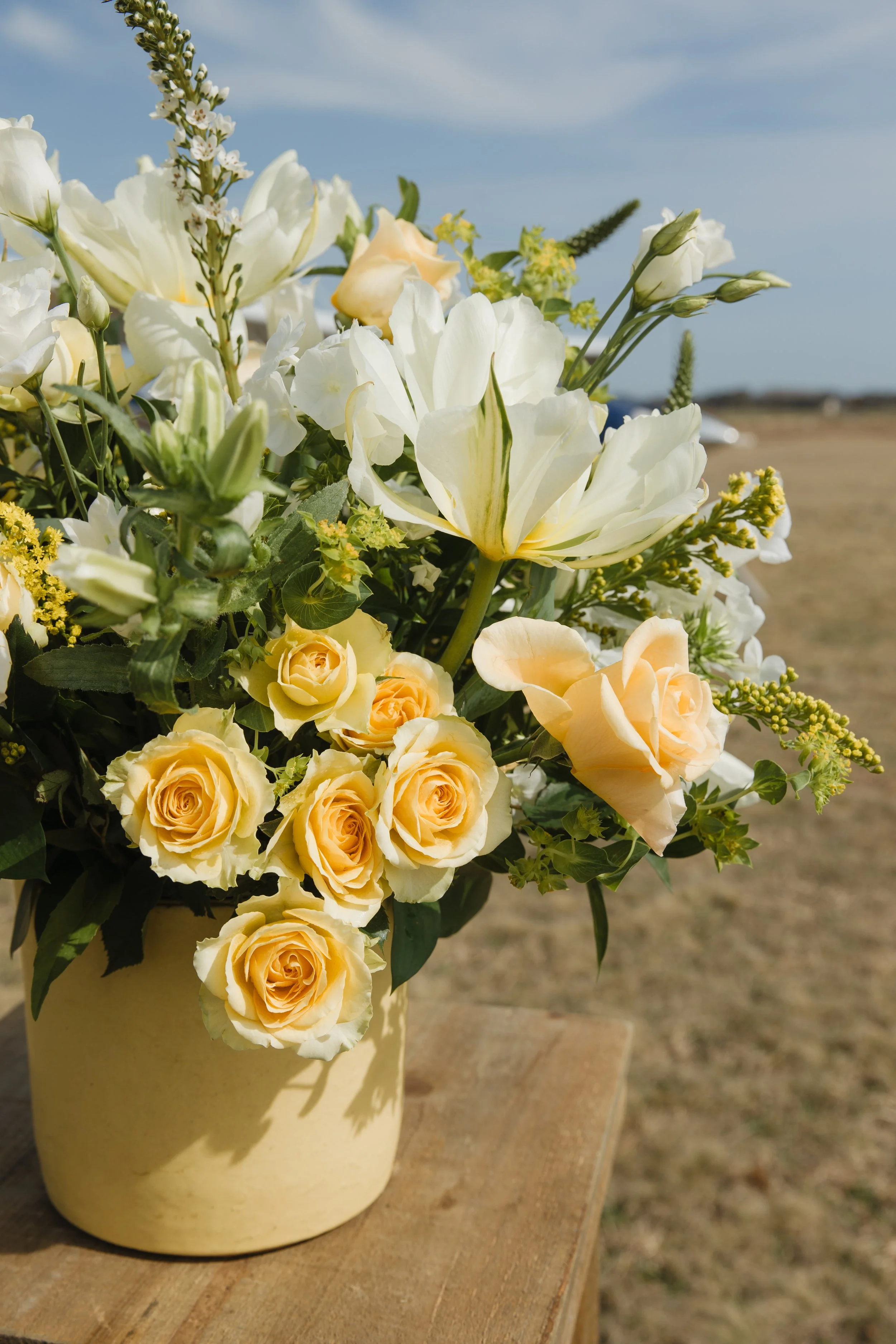 Donaroma -April 16, 2026-194- Larisa Stinga Photography.jpg