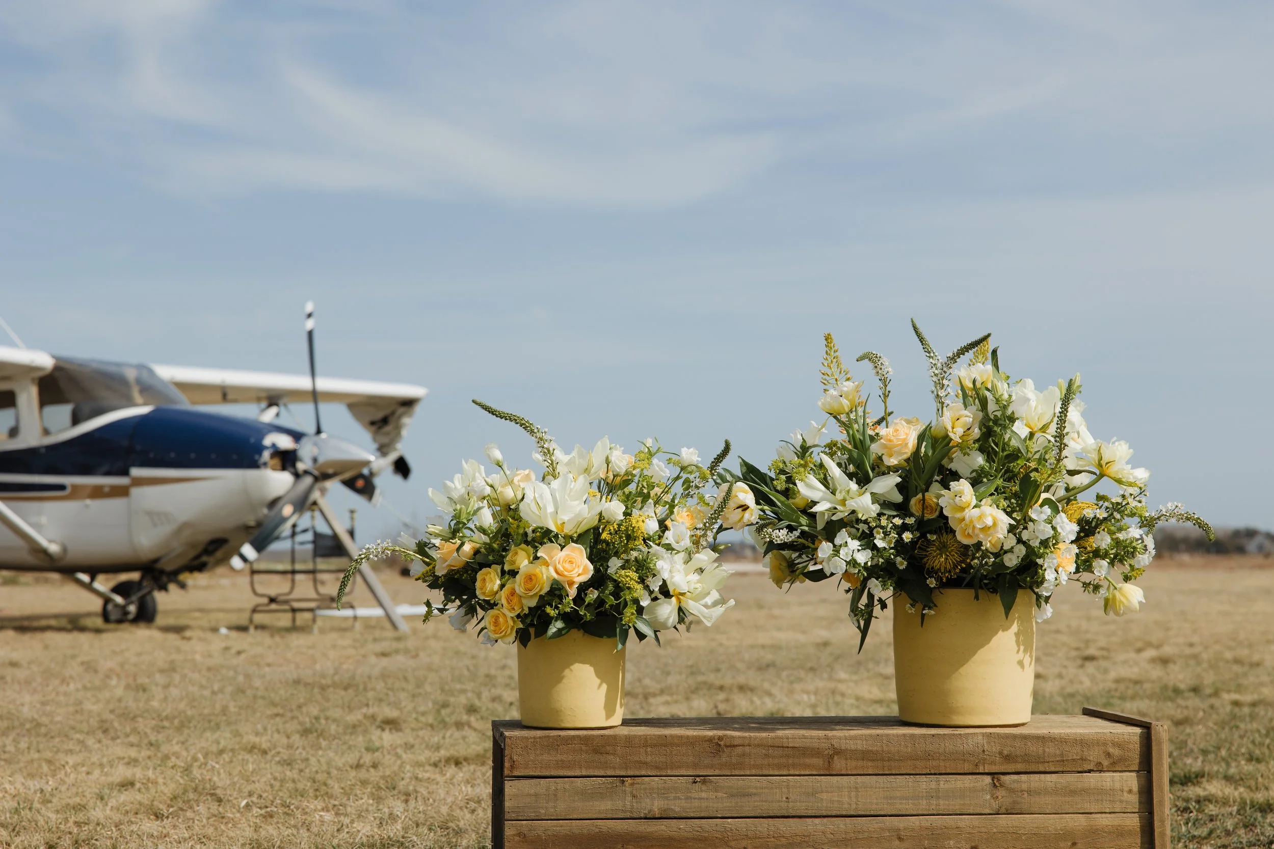 Donaroma -April 16, 2026-209- Larisa Stinga Photography.jpg