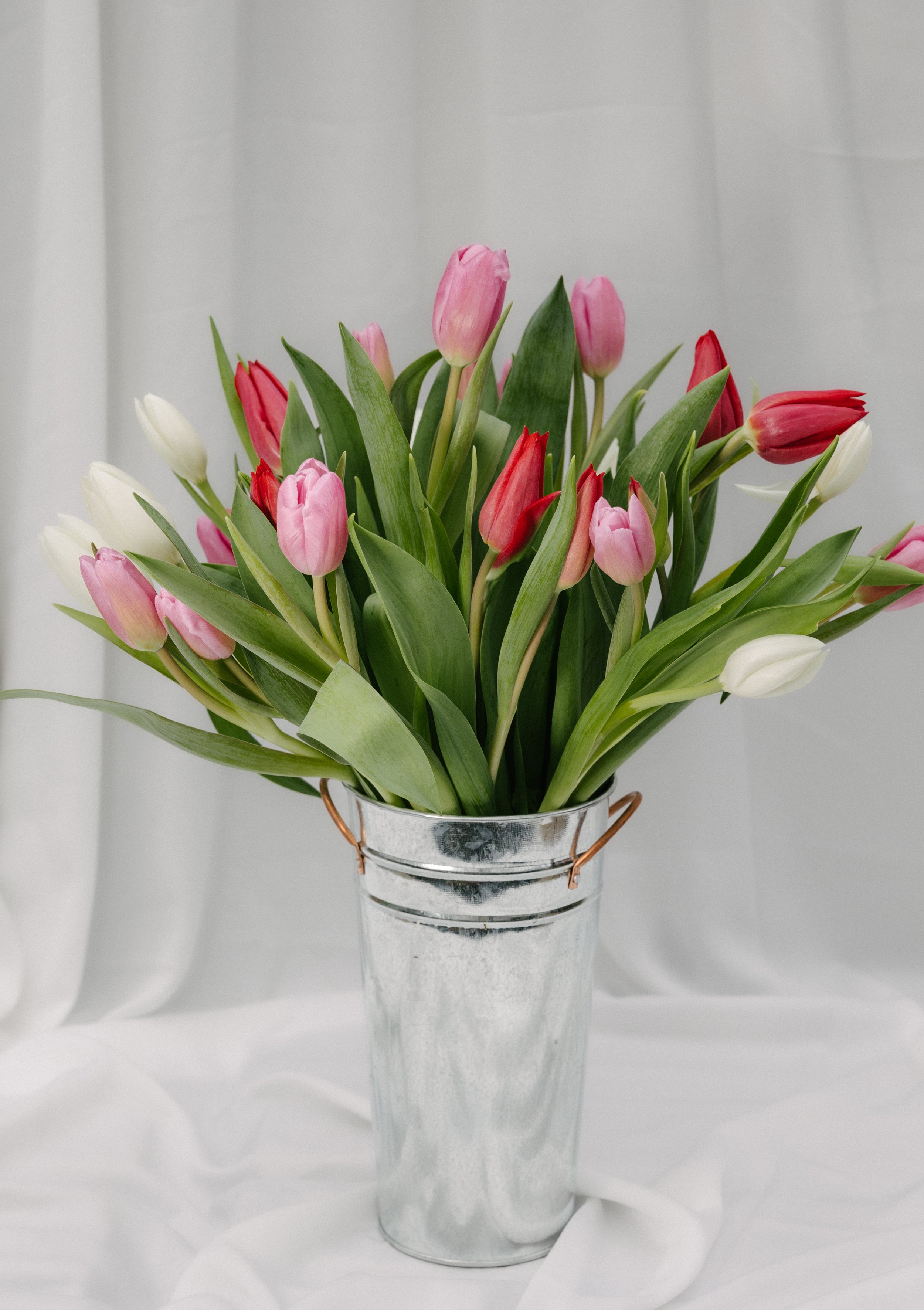 Donaroma x Aubrey -January 20_ 2023-027- Larisa Stinga Photography.jpg