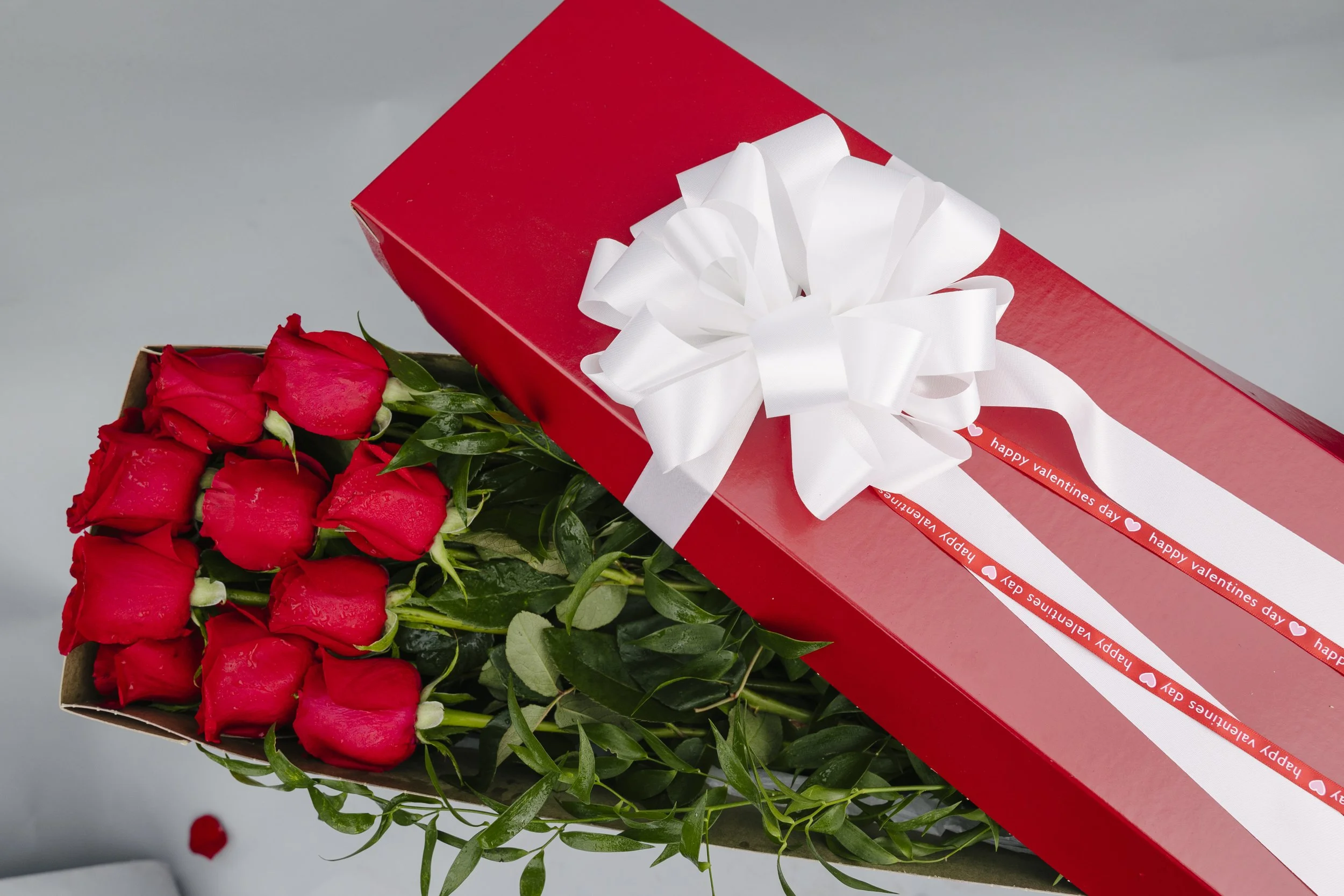 Donaroma -January 25_ 2024-193- Larisa Stinga Photography.jpg