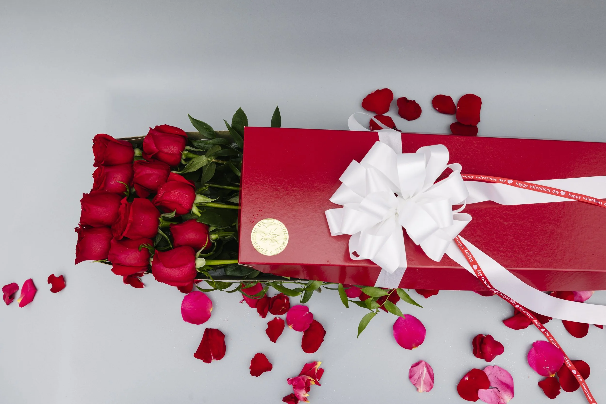 Donaroma -January 25_ 2024-310- Larisa Stinga Photography.jpg