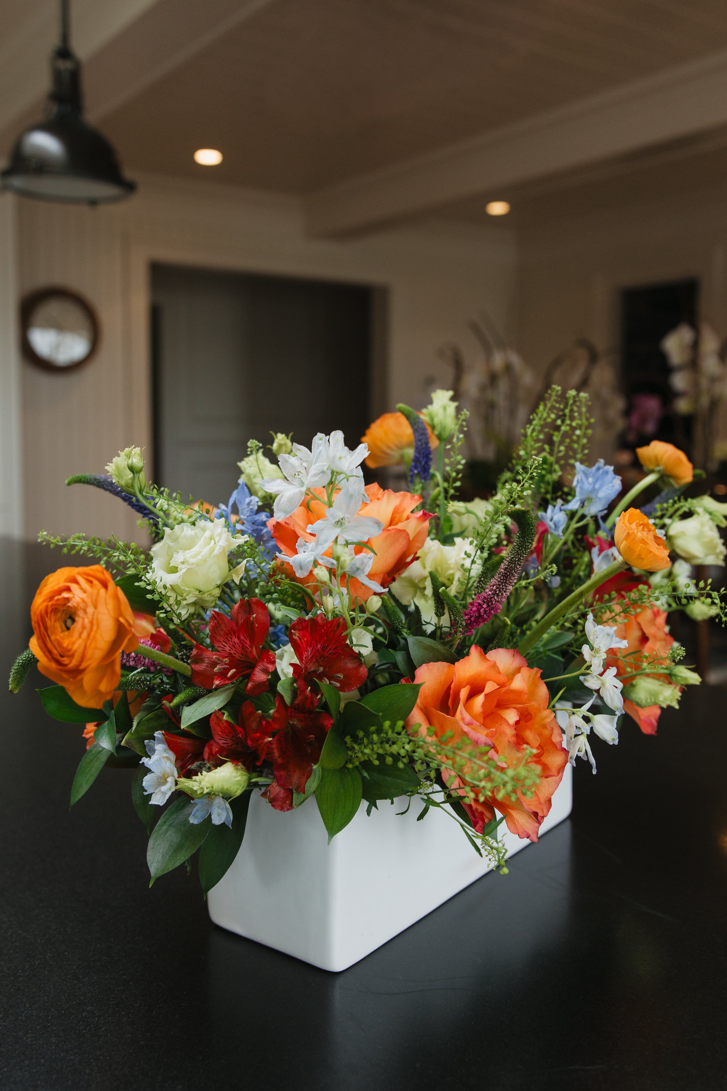 Donaroma -April 18, 2026-043- Larisa Stinga Photography.jpg