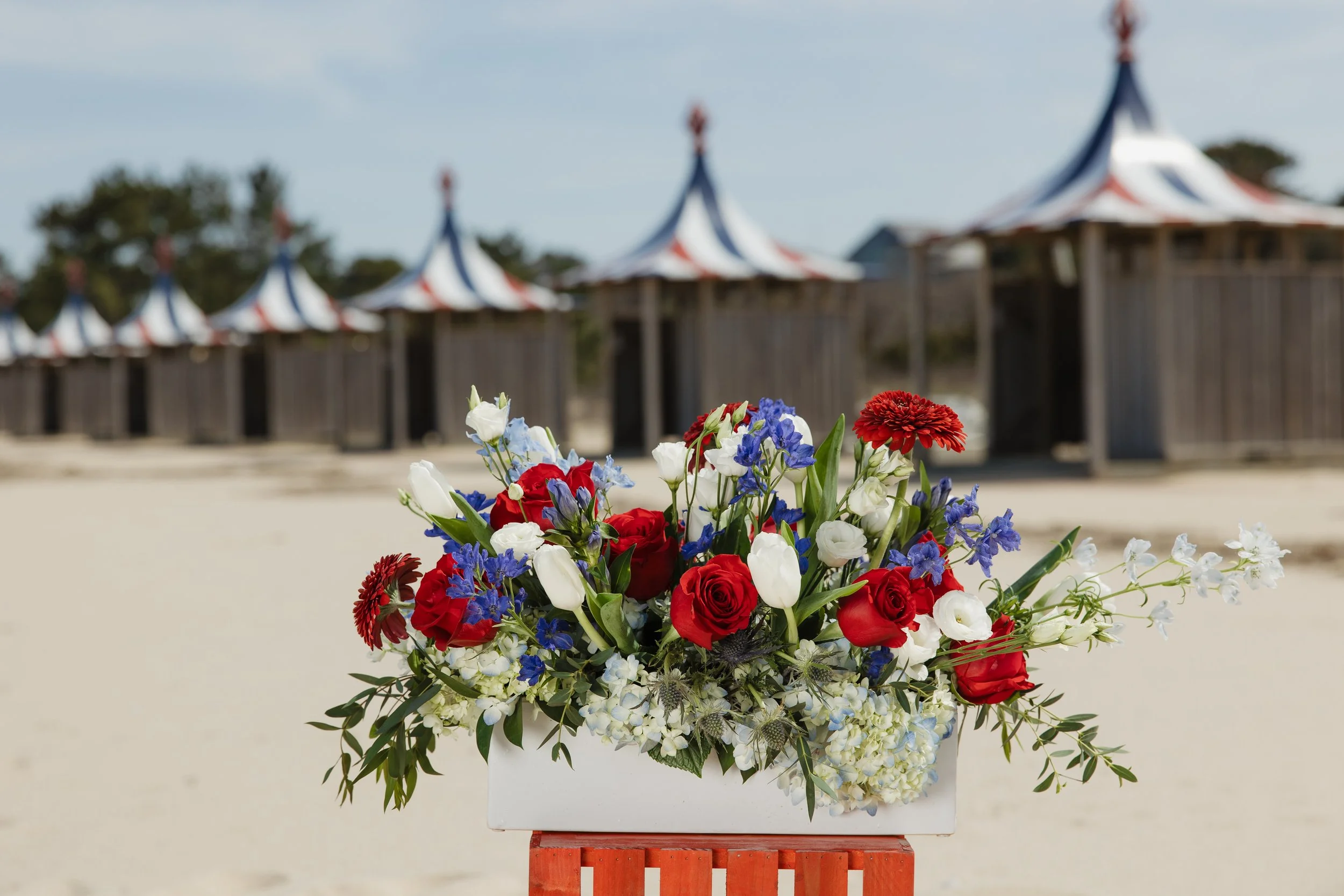 Donaroma -April 16, 2026-176- Larisa Stinga Photography.jpg