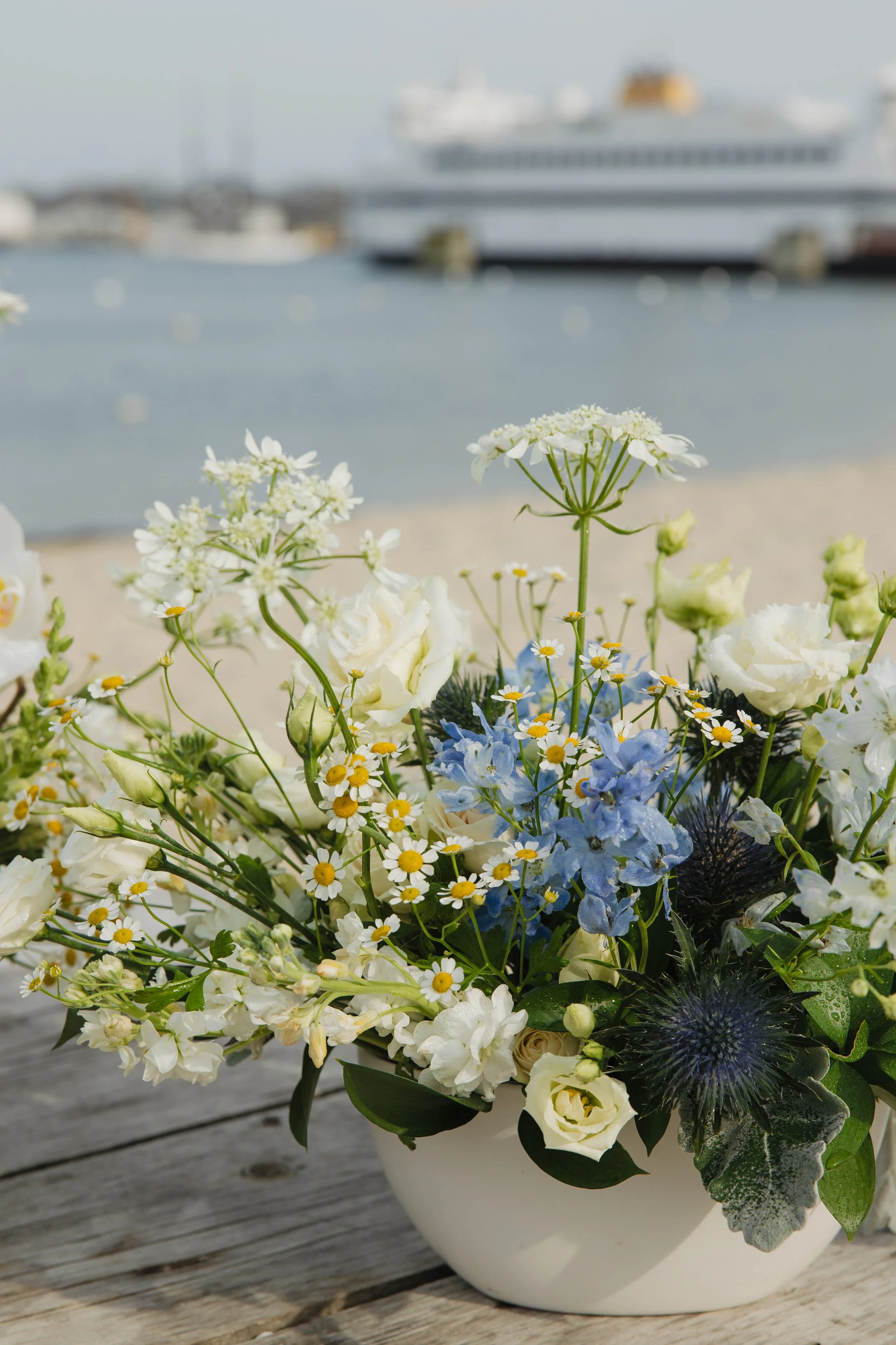 Donaroma -April 16, 2026-279- Larisa Stinga Photography.jpg