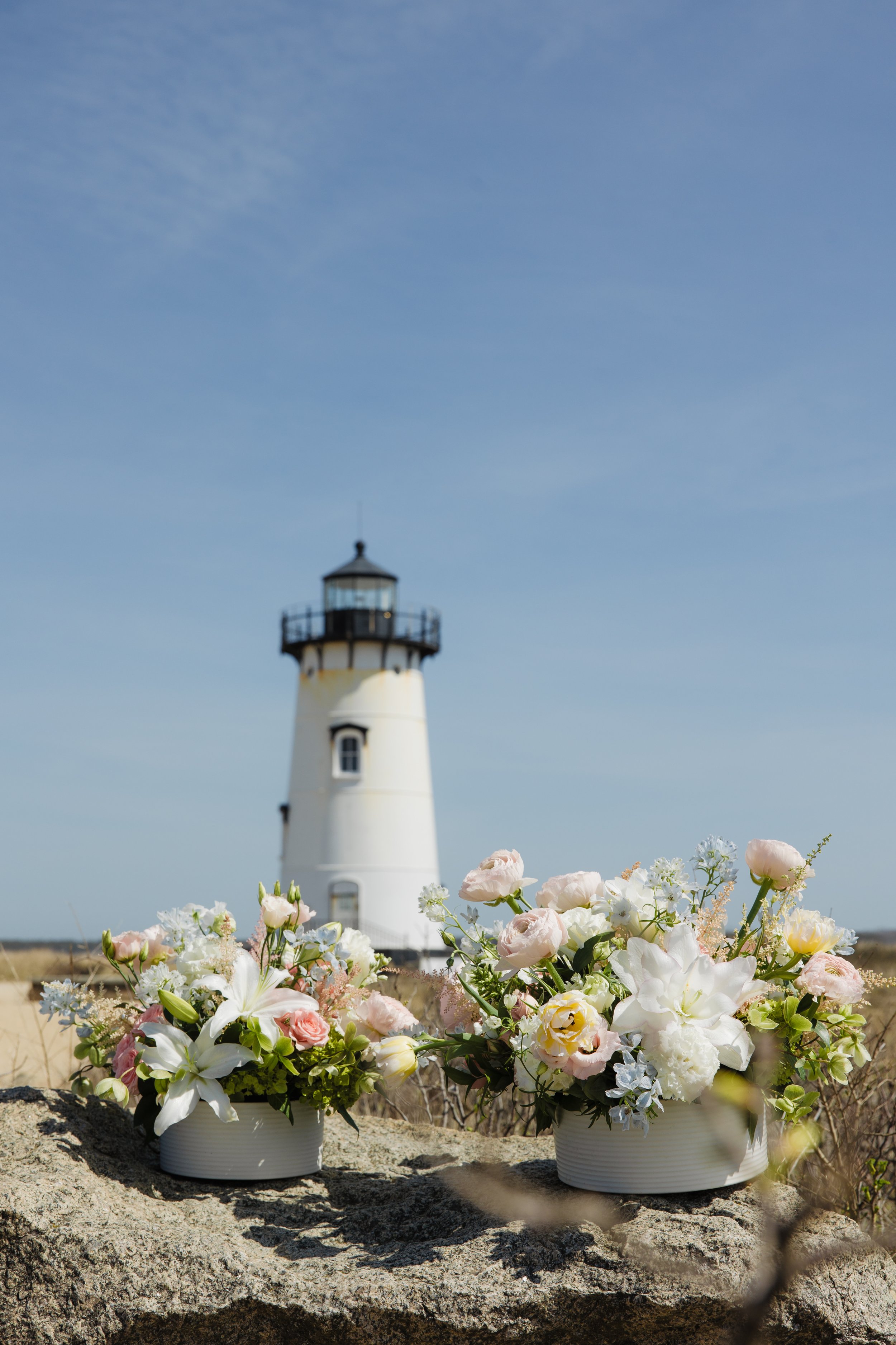 Donaroma -April 16, 2026-168- Larisa Stinga Photography.jpg