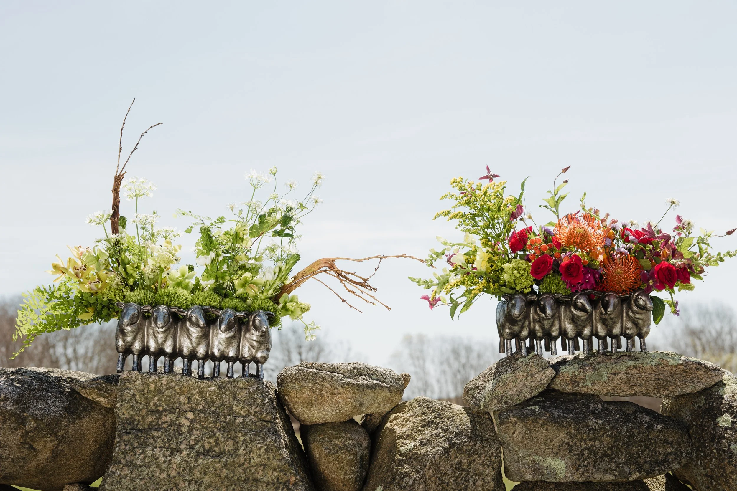 Donaroma -April 16, 2026-093- Larisa Stinga Photography.jpg