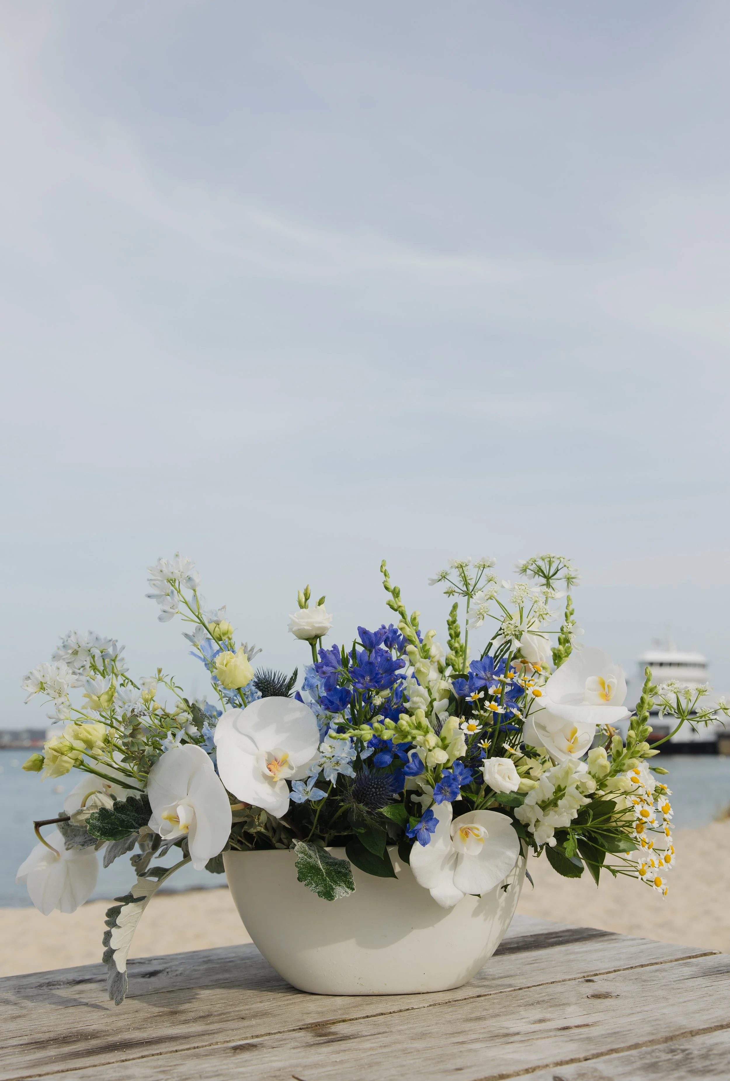 Donaroma -April 16, 2026-256- Larisa Stinga Photography.jpg