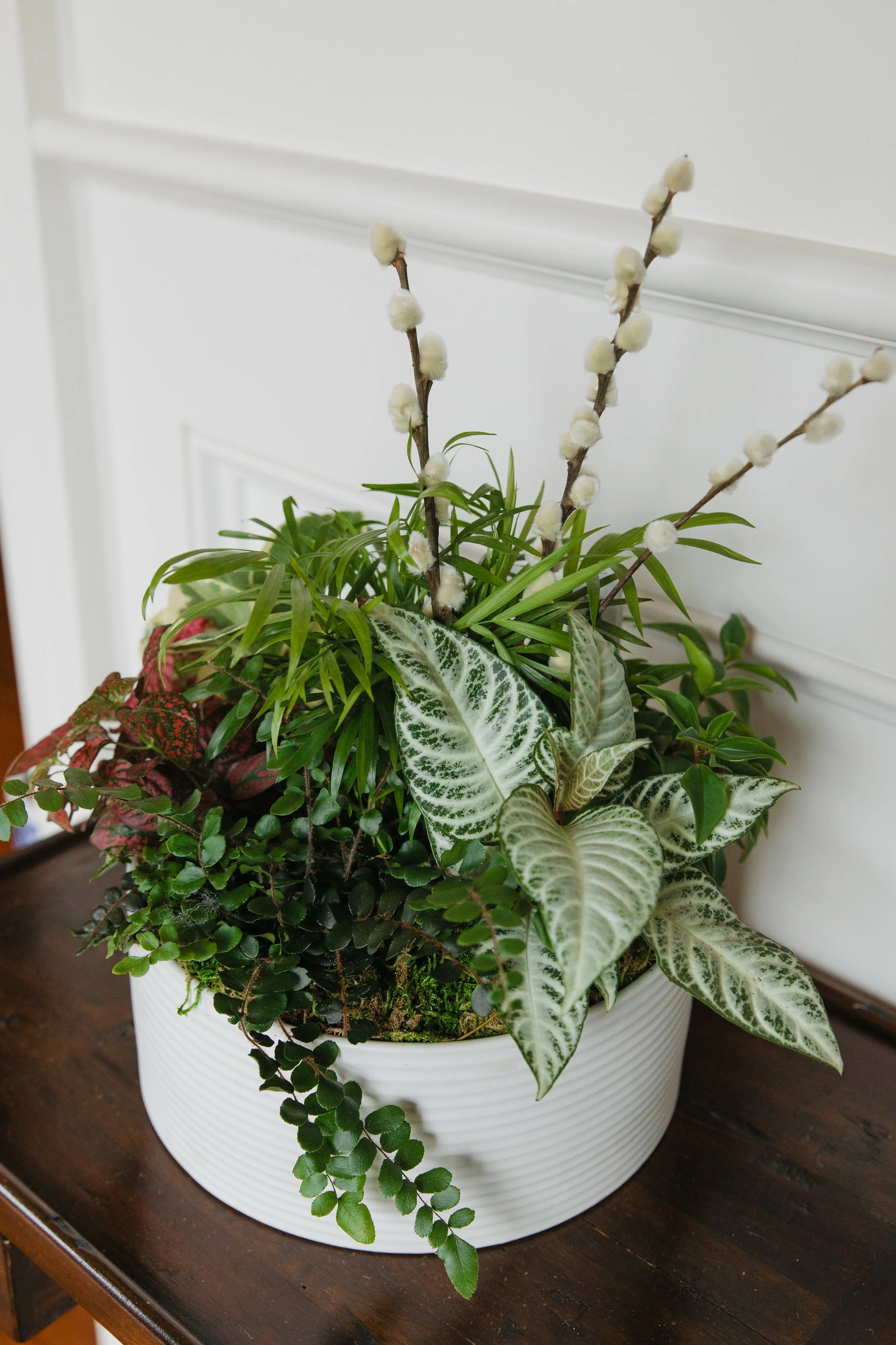 Donaroma -April 18, 2026-051- Larisa Stinga Photography.jpg