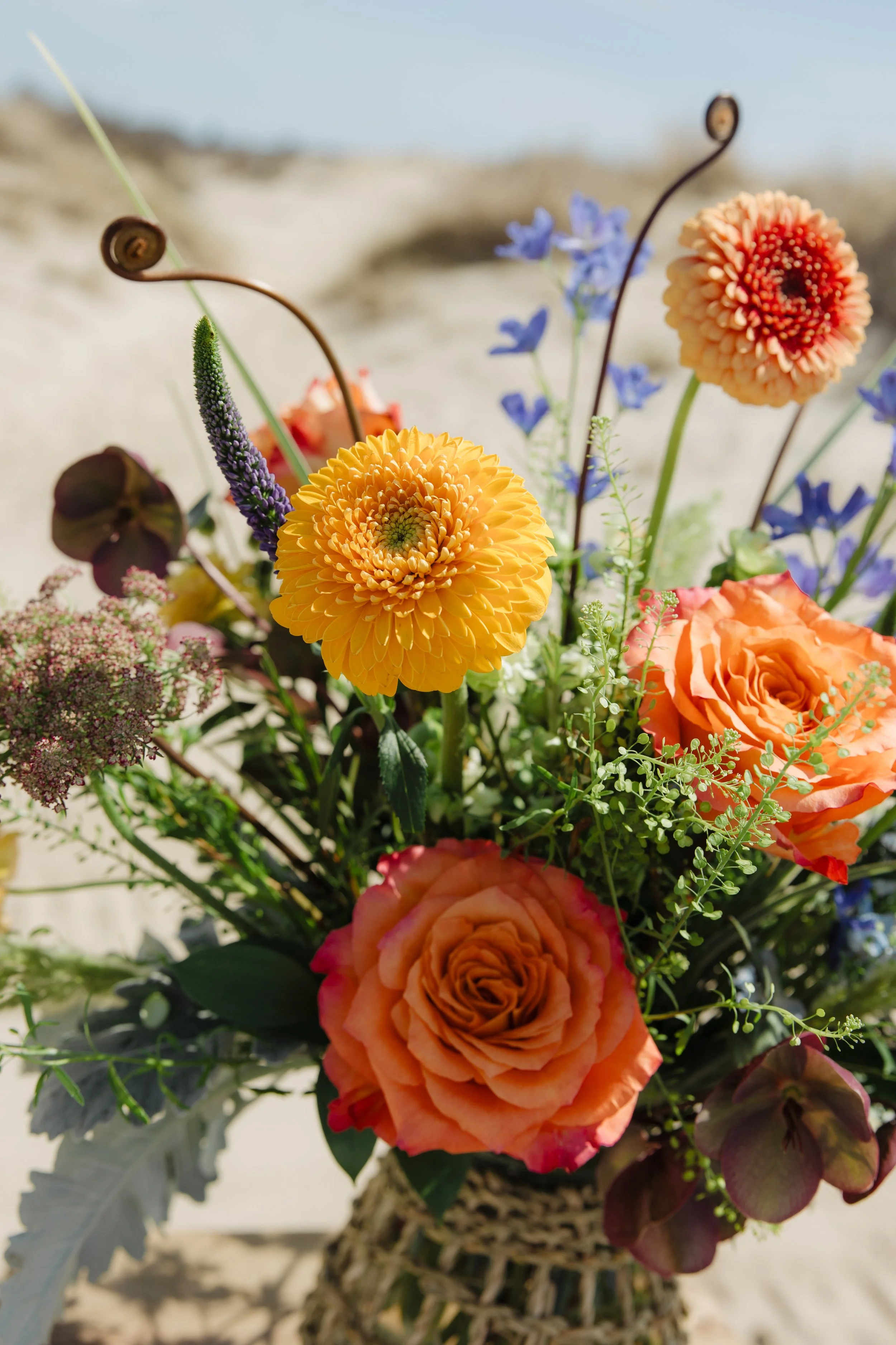 Donaroma -April 16, 2026-070- Larisa Stinga Photography.jpg