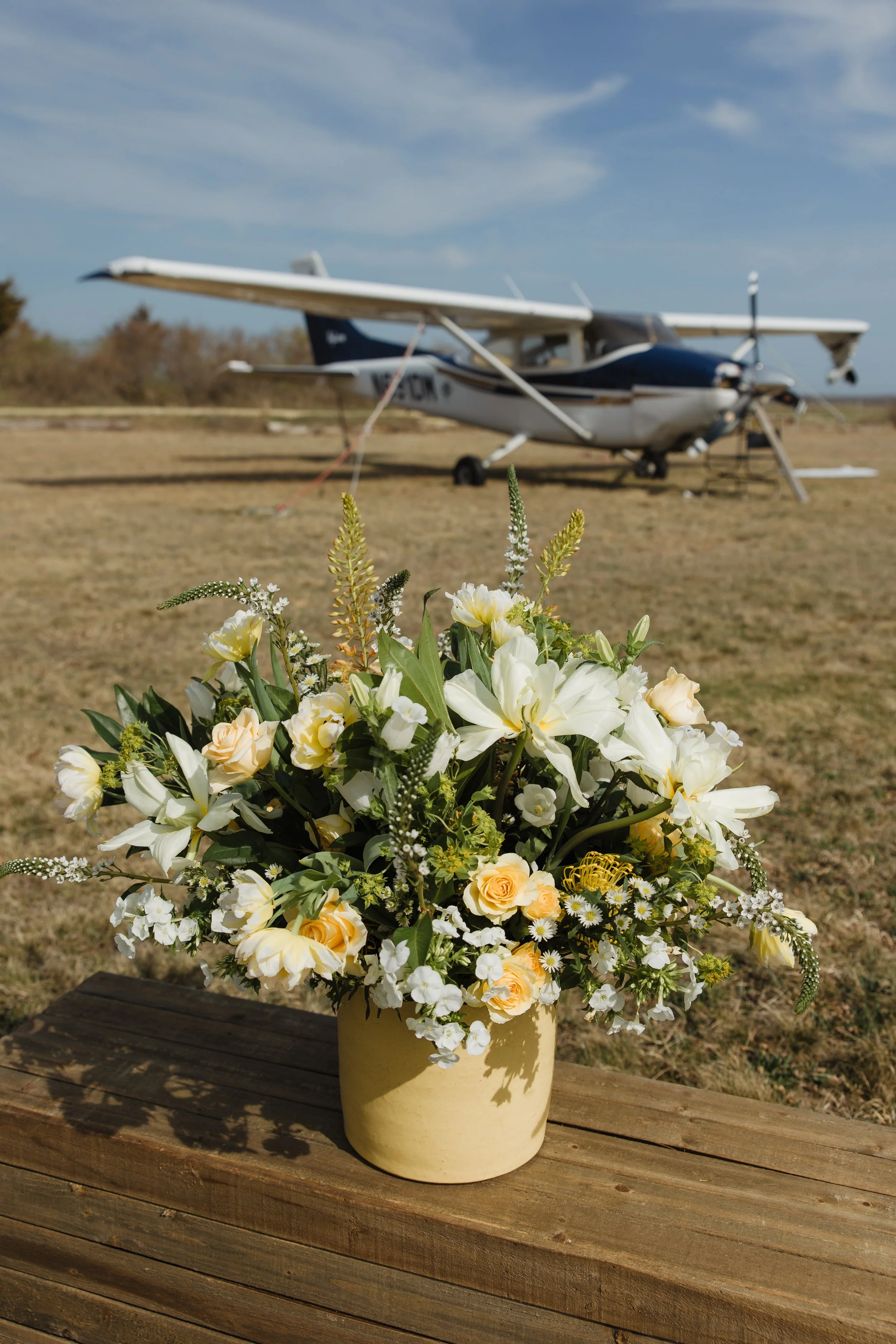 Donaroma -April 16, 2026-200- Larisa Stinga Photography.jpg