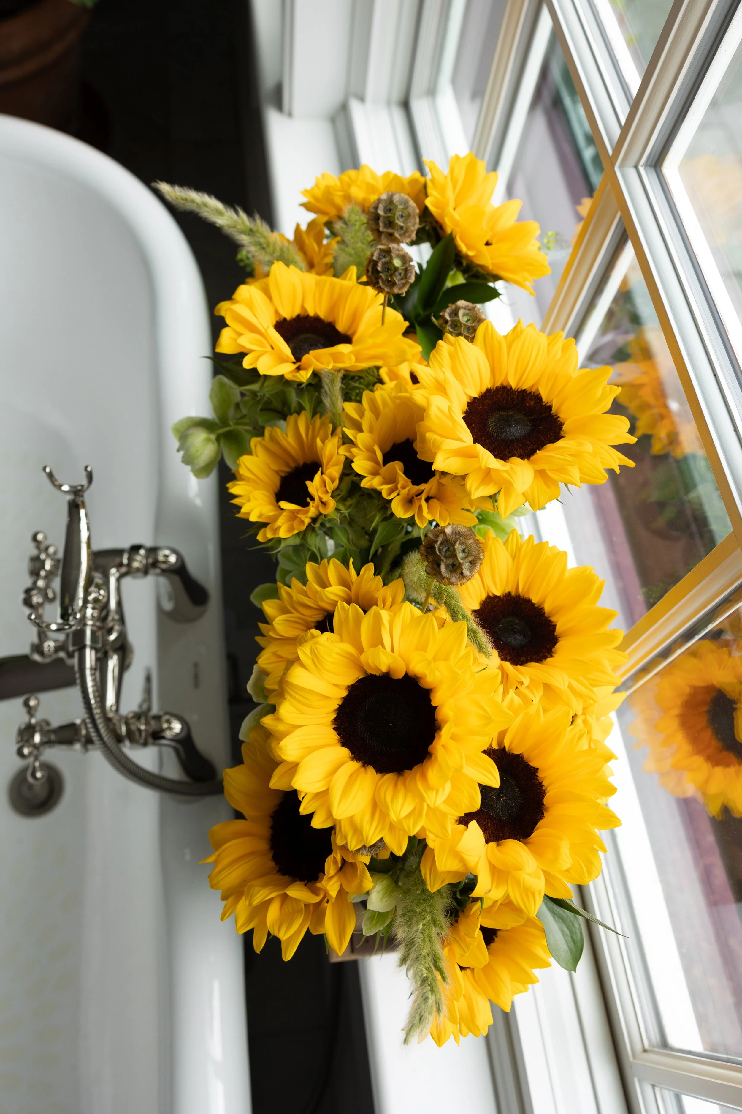 Donaroma -April 18, 2026-133- Larisa Stinga Photography.jpg