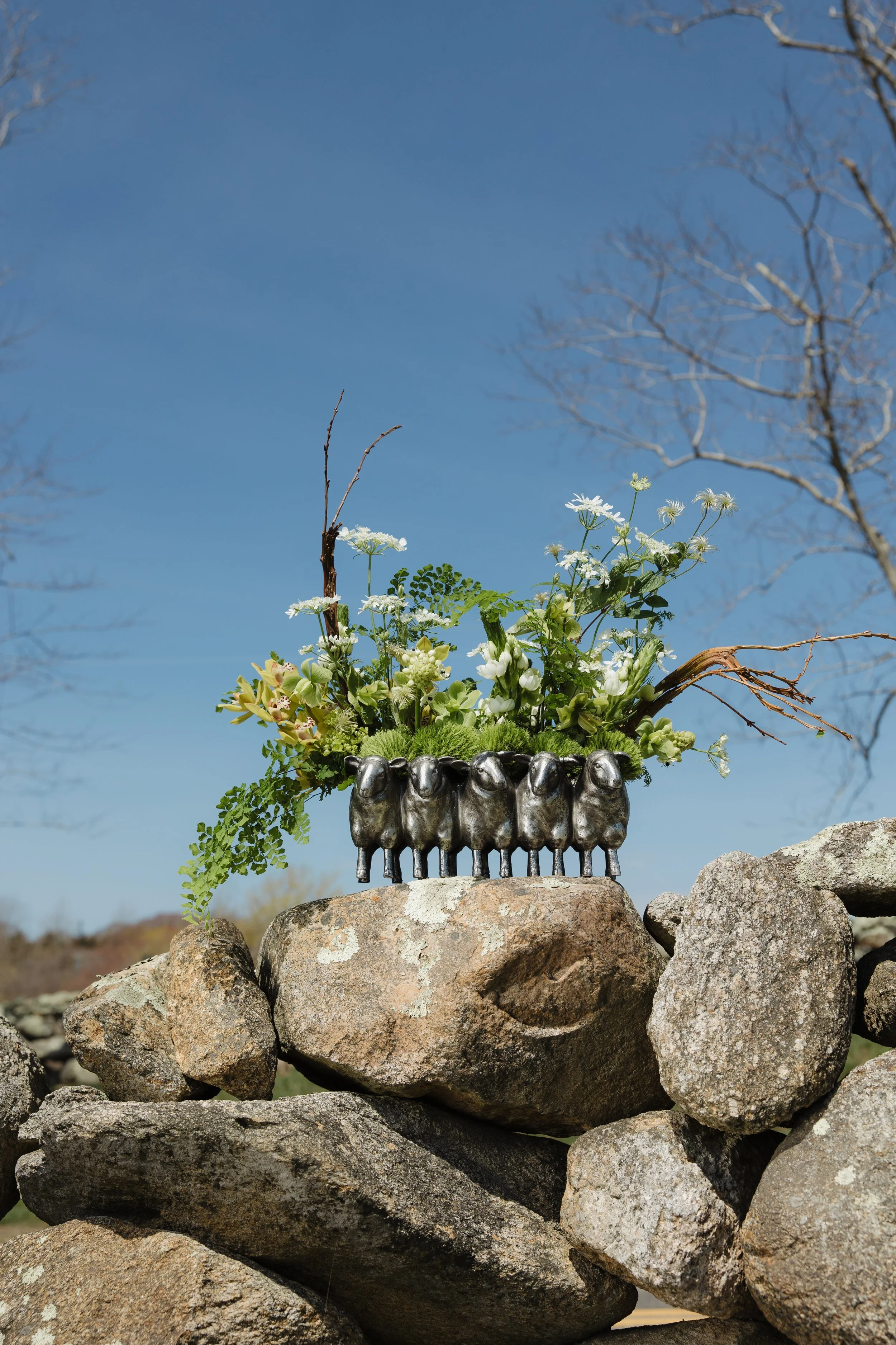 Donaroma -April 16, 2026-081- Larisa Stinga Photography.jpg