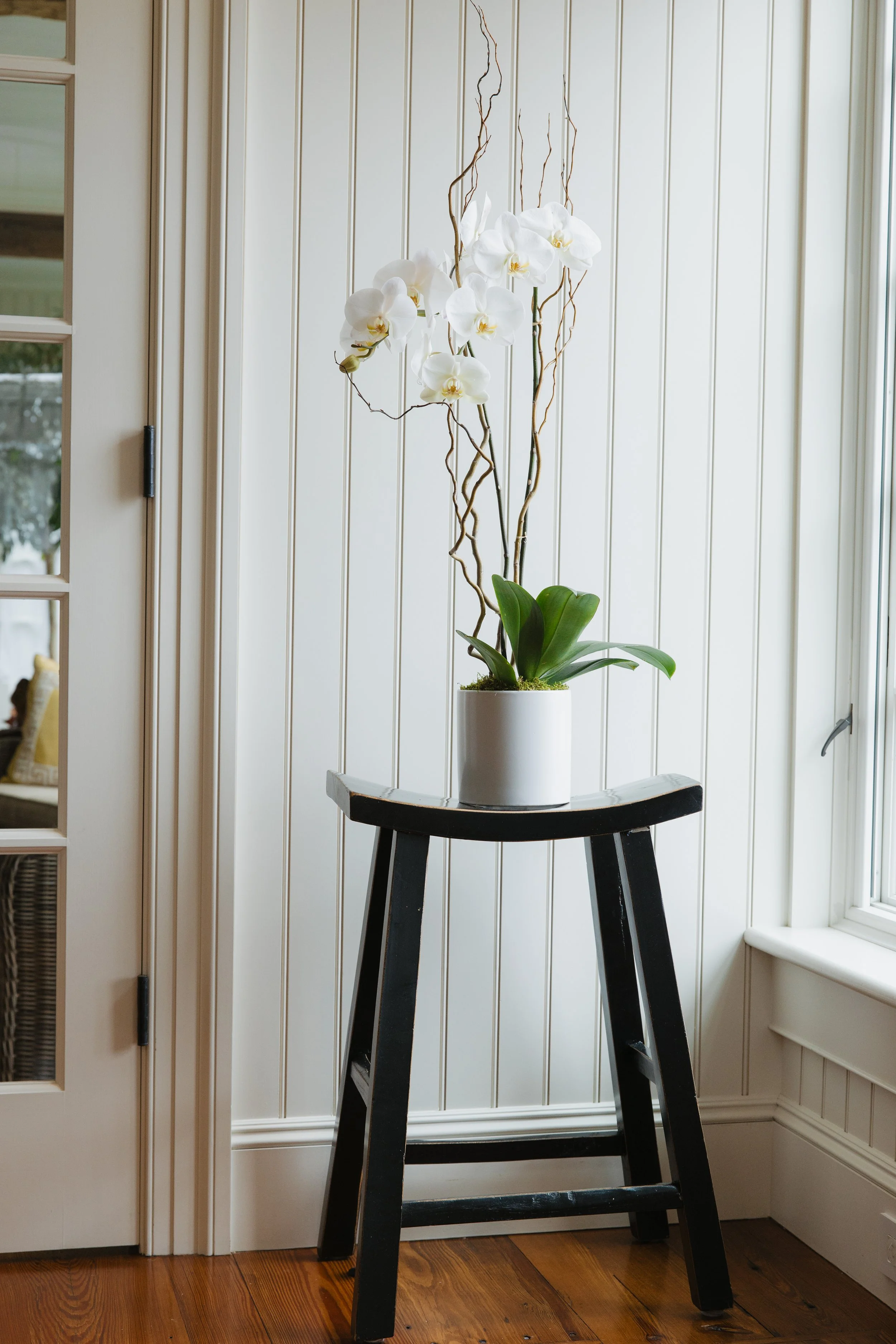 Donaroma -April 18, 2026-109- Larisa Stinga Photography.jpg