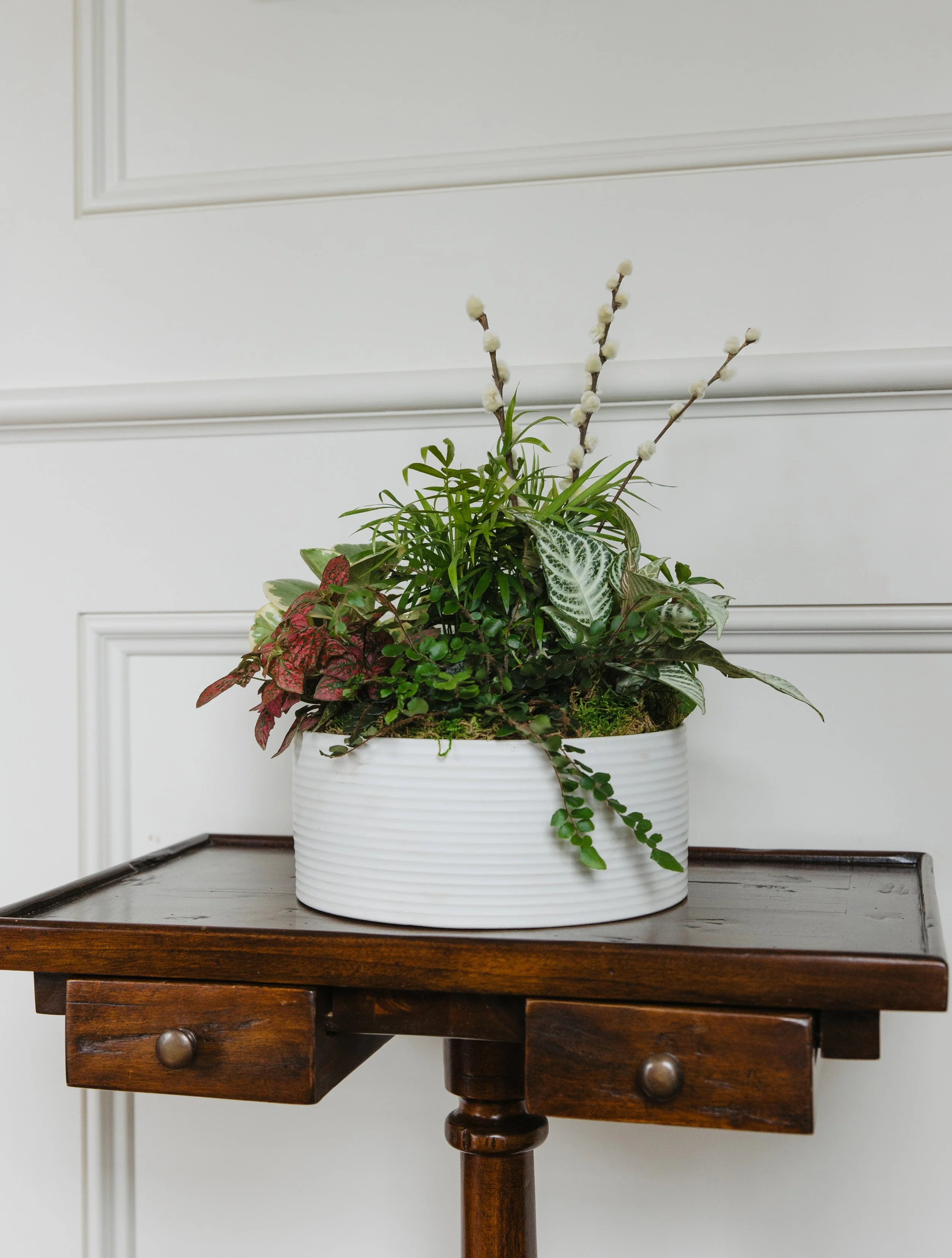 Donaroma -April 18, 2026-047- Larisa Stinga Photography.jpg