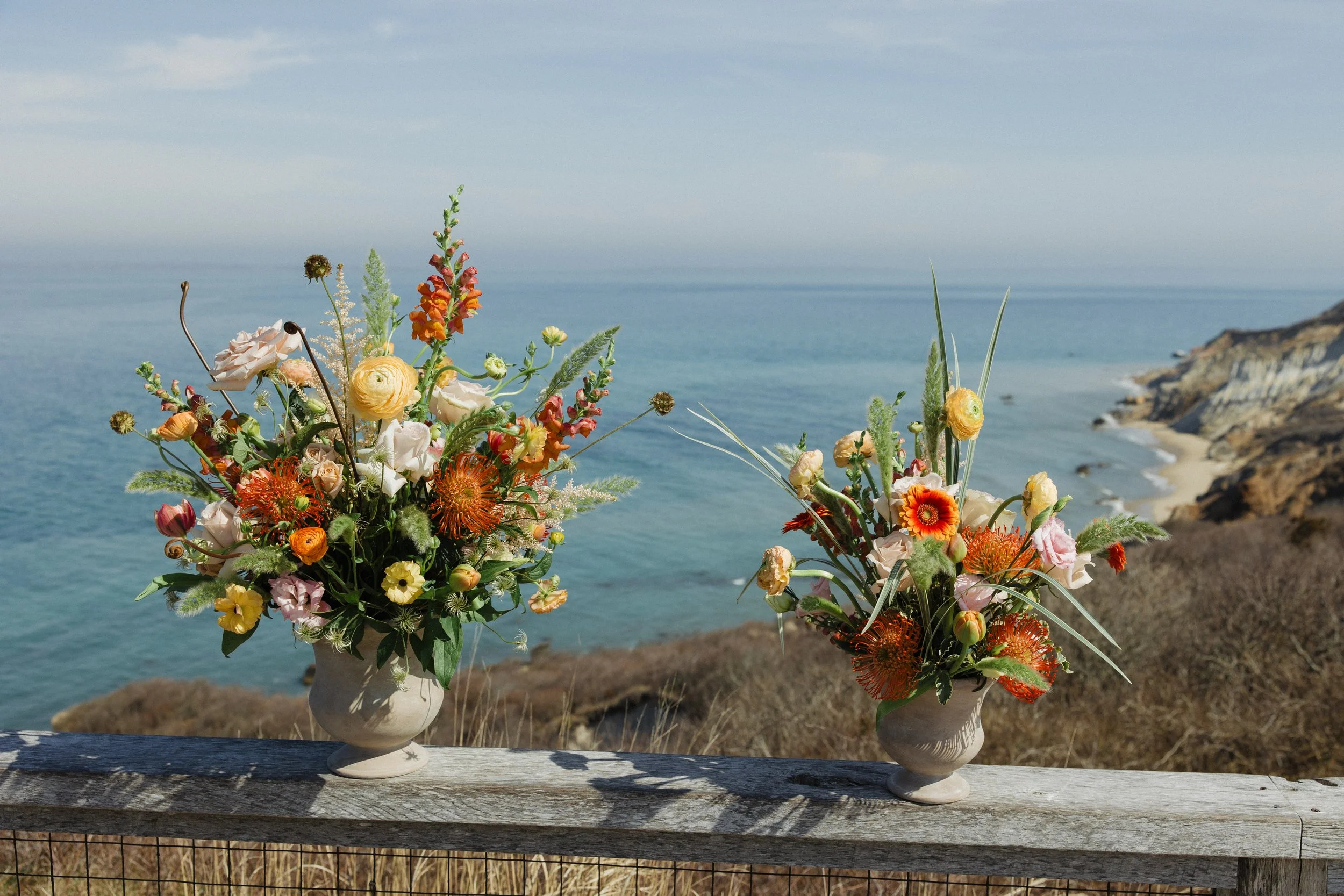 Donaroma -April 16, 2026-019- Larisa Stinga Photography.jpg