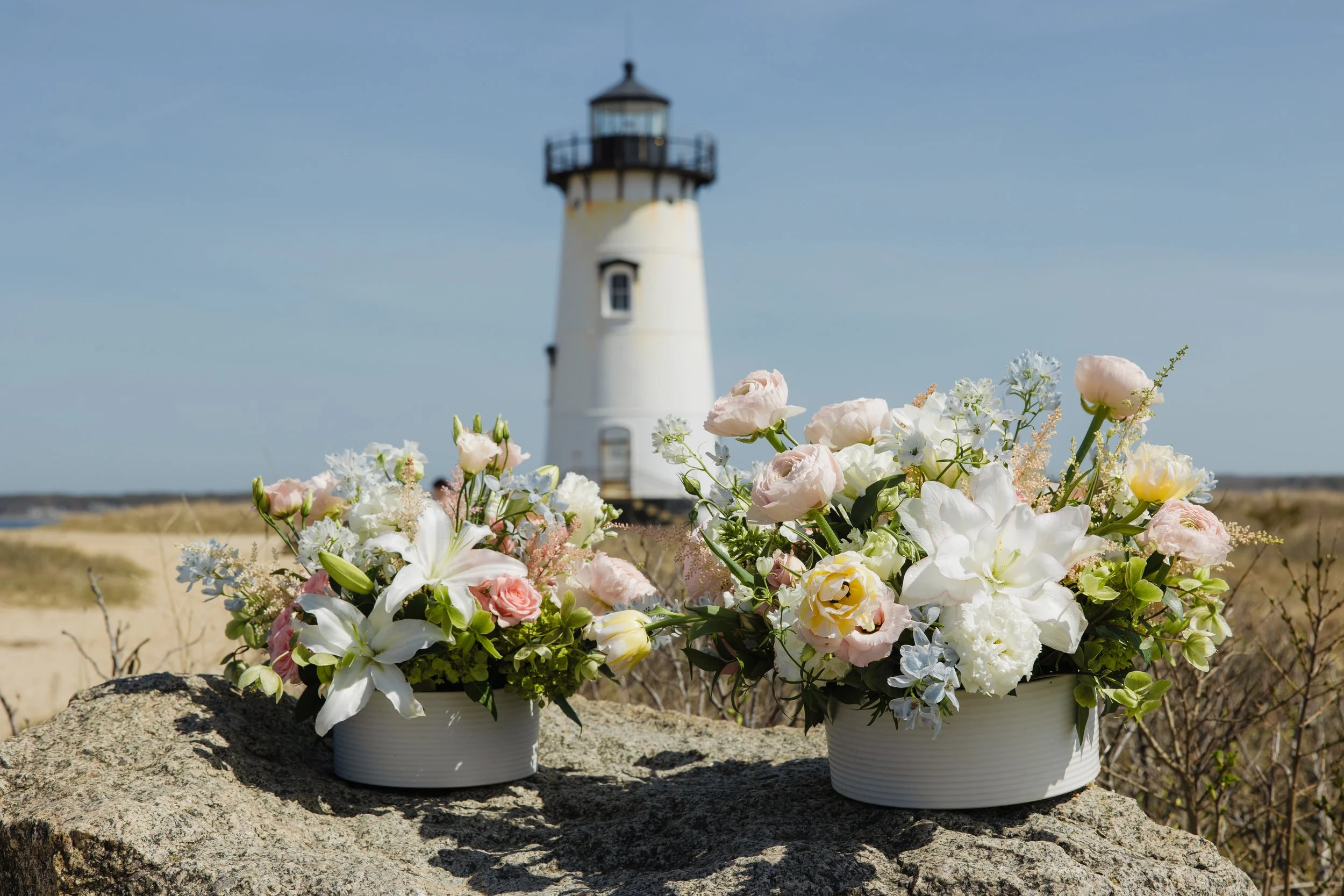 Donaroma -April 16, 2026-170- Larisa Stinga Photography.jpg