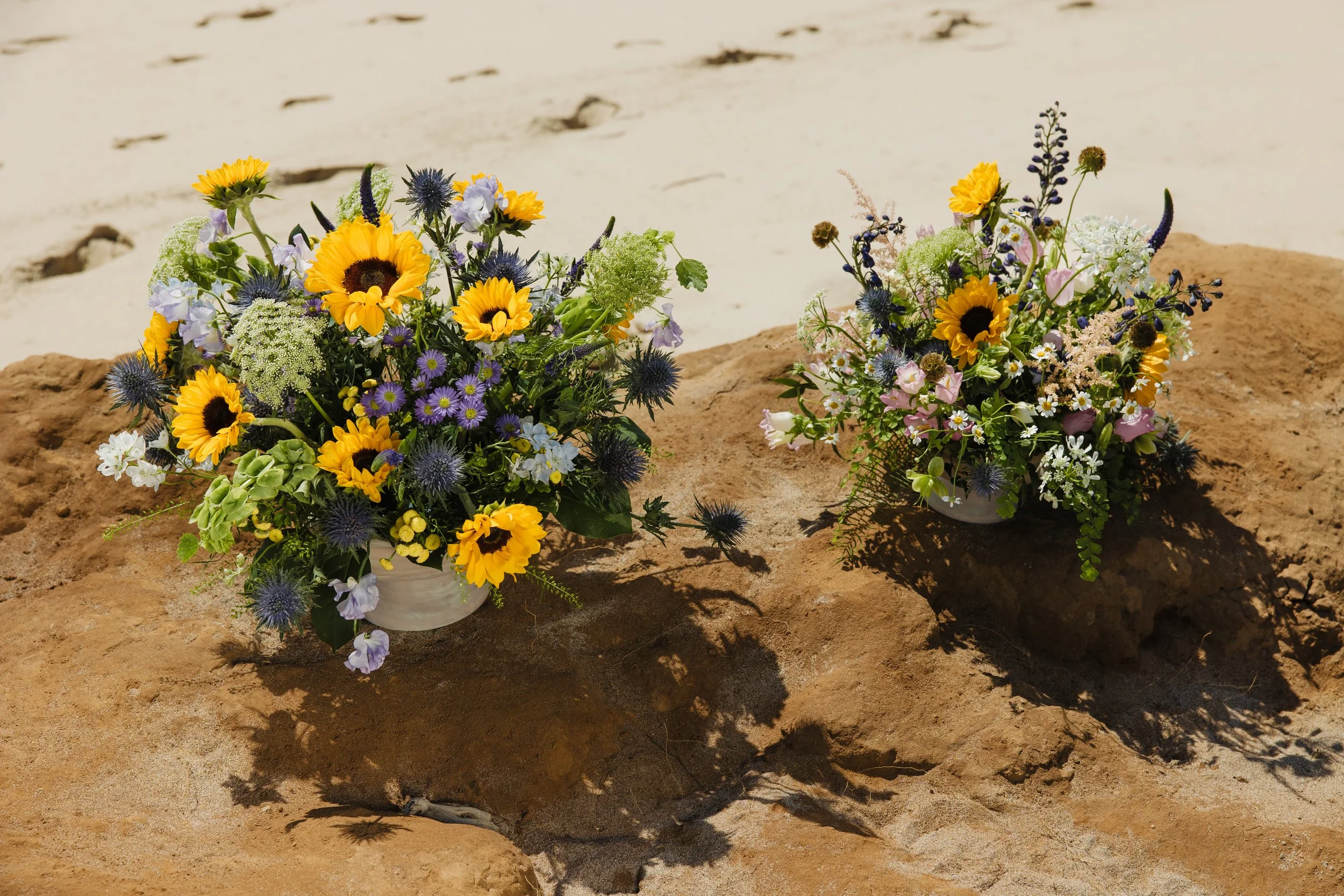 Donaroma -April 16, 2026-123- Larisa Stinga Photography.jpg