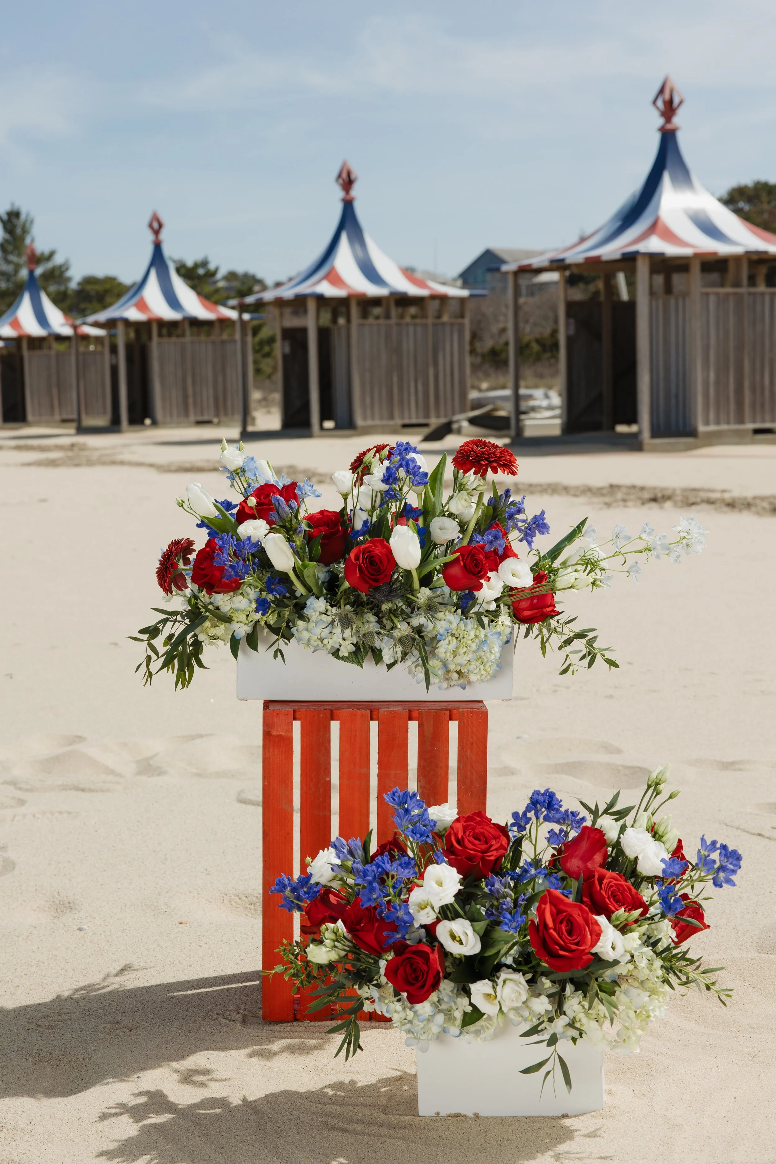 Donaroma -April 16, 2026-184- Larisa Stinga Photography.jpg