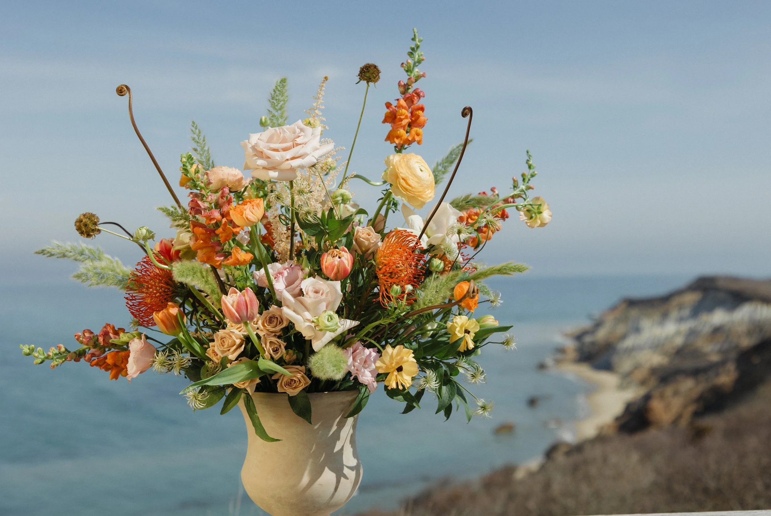 Donaroma -April 16, 2026-008- Larisa Stinga Photography.jpg