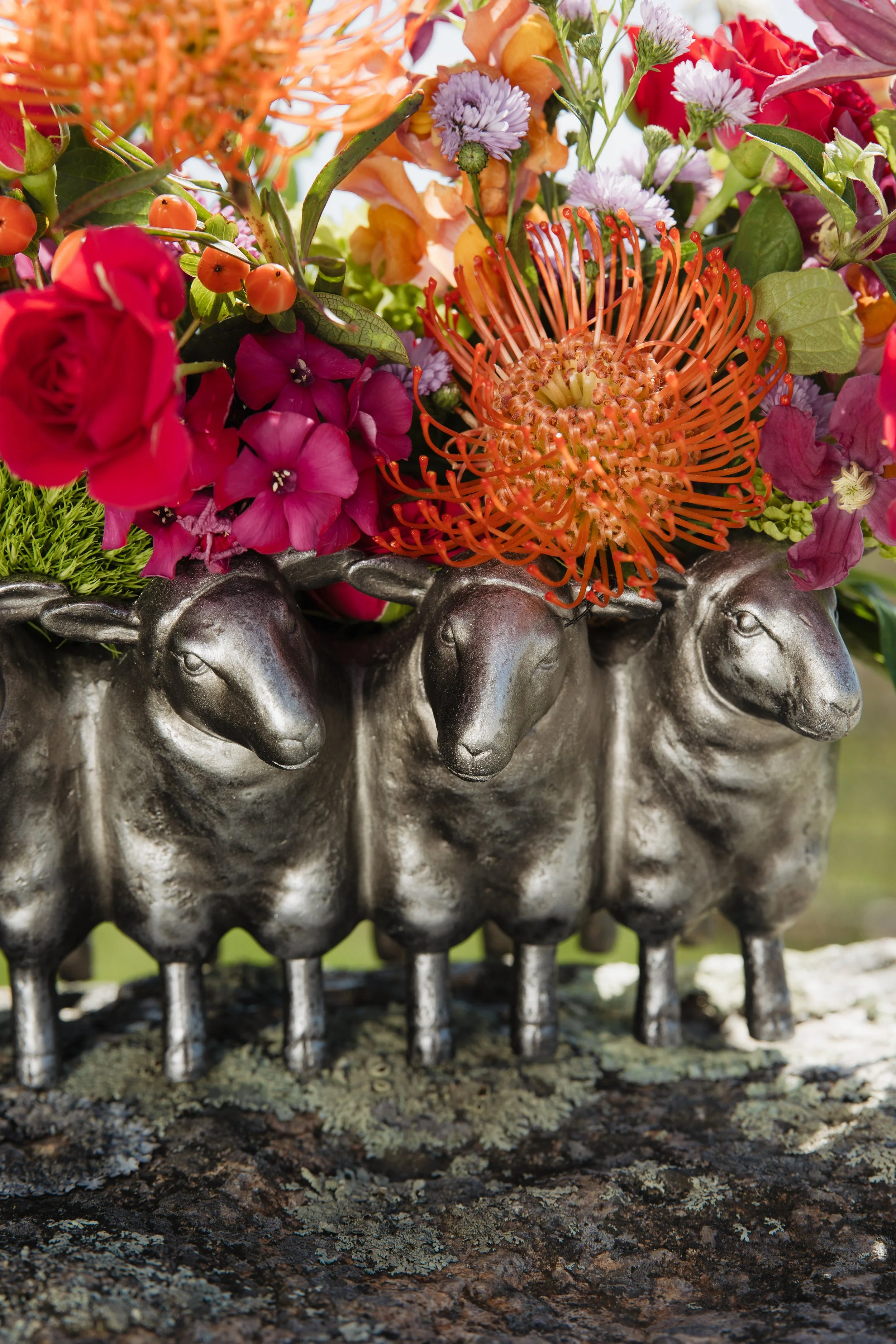 Donaroma -April 16, 2026-091- Larisa Stinga Photography.jpg