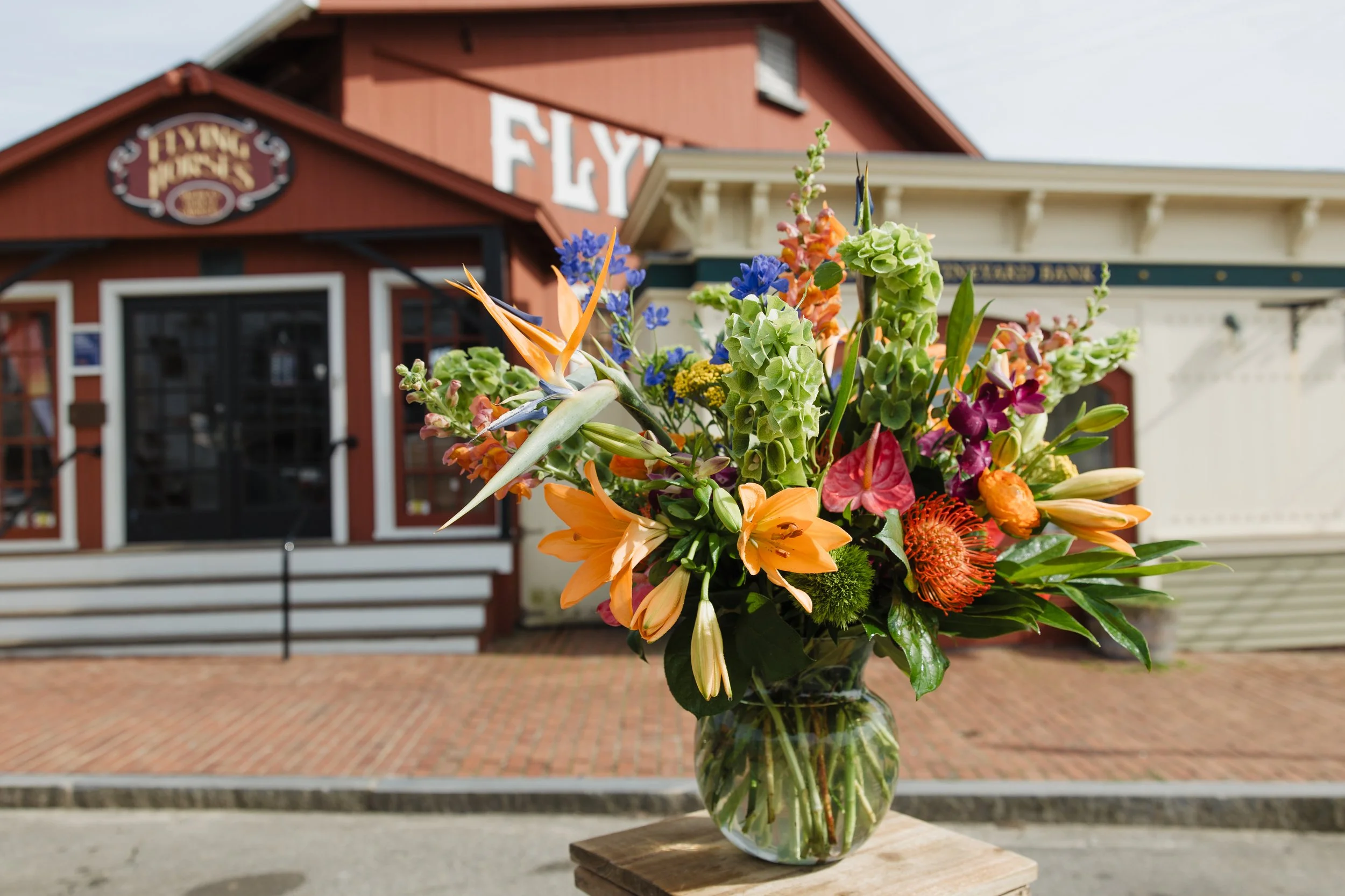 Donaroma -April 16, 2026-232- Larisa Stinga Photography.jpg