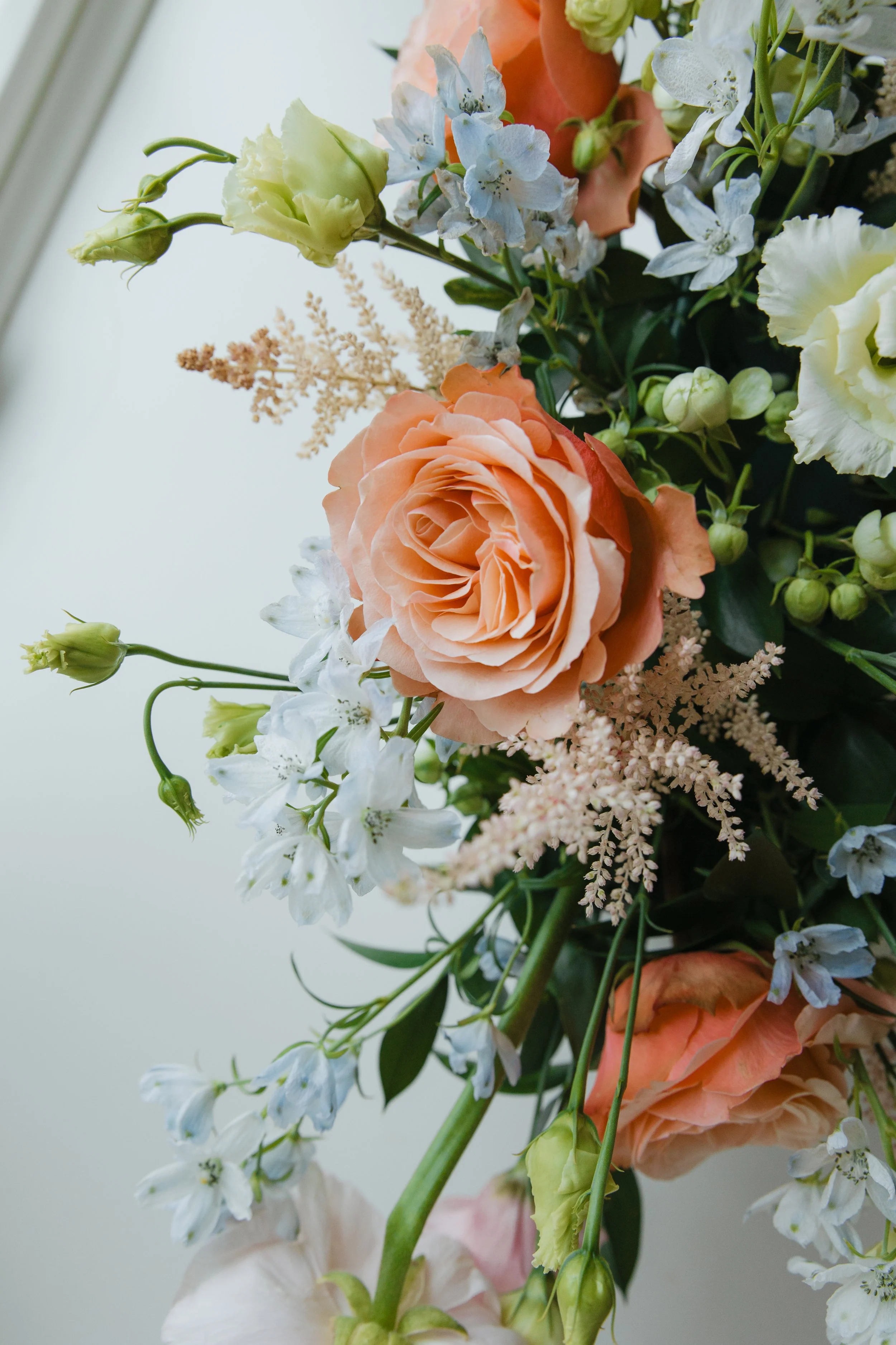 Donaroma -April 18, 2026-089- Larisa Stinga Photography.jpg