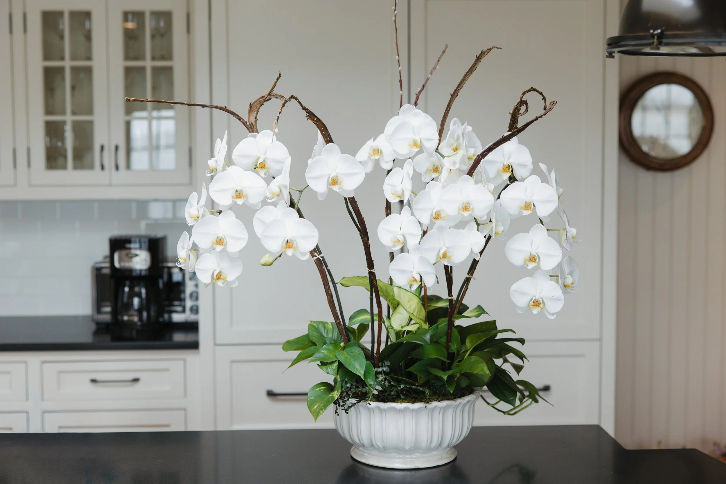 Donaroma -April 18, 2026-106- Larisa Stinga Photography.jpg