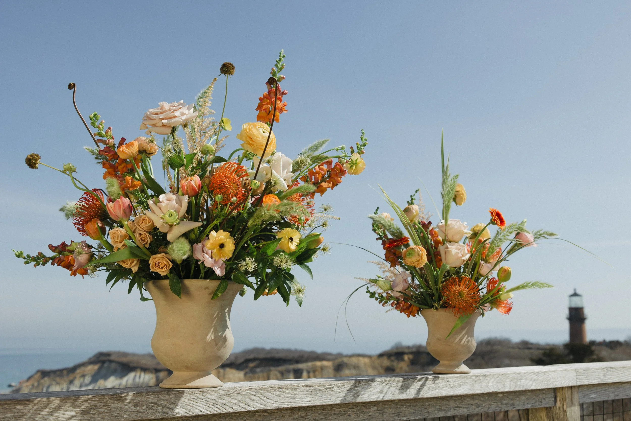 Donaroma -April 16, 2026-017- Larisa Stinga Photography.jpg