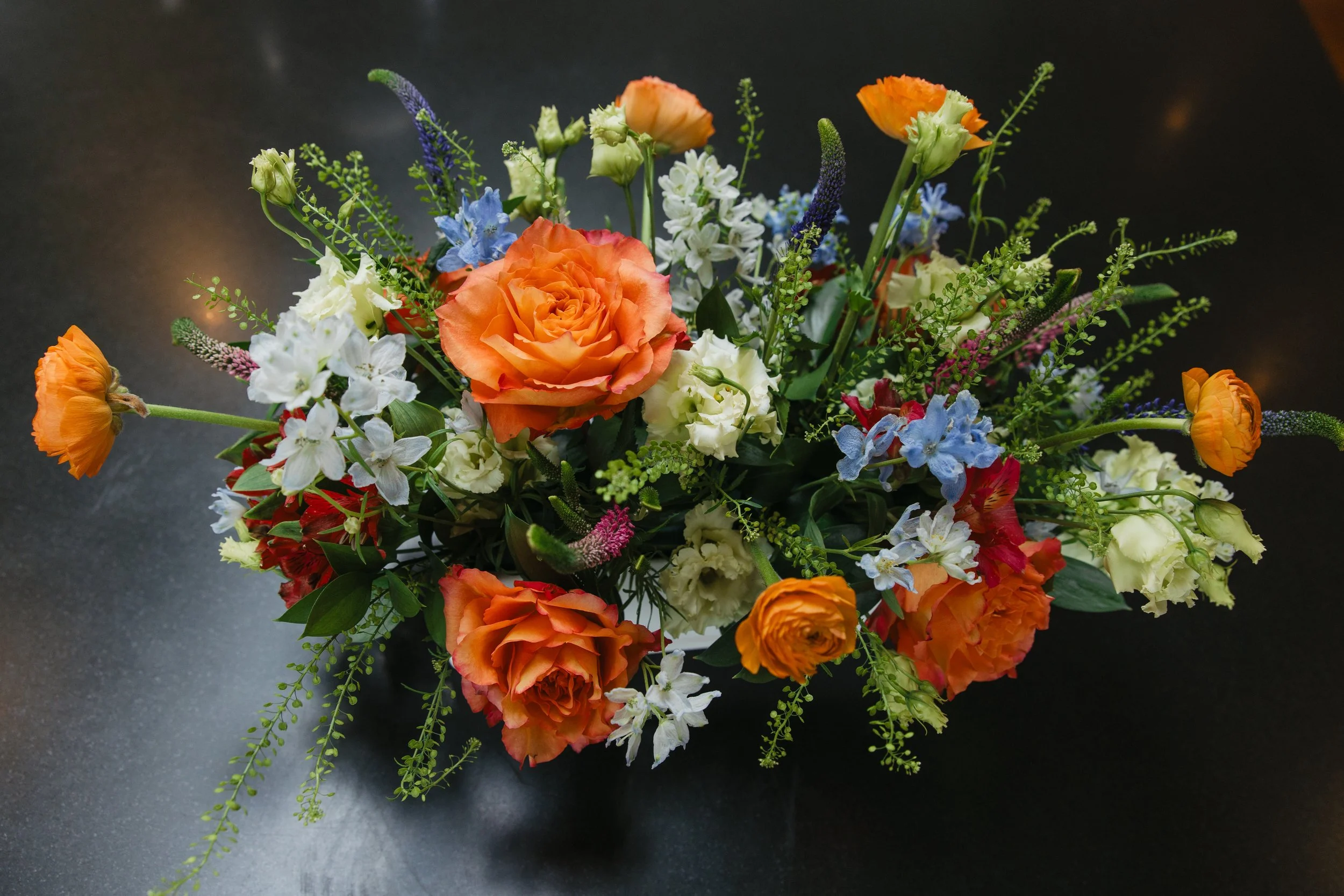 Donaroma -April 18, 2026-045- Larisa Stinga Photography.jpg