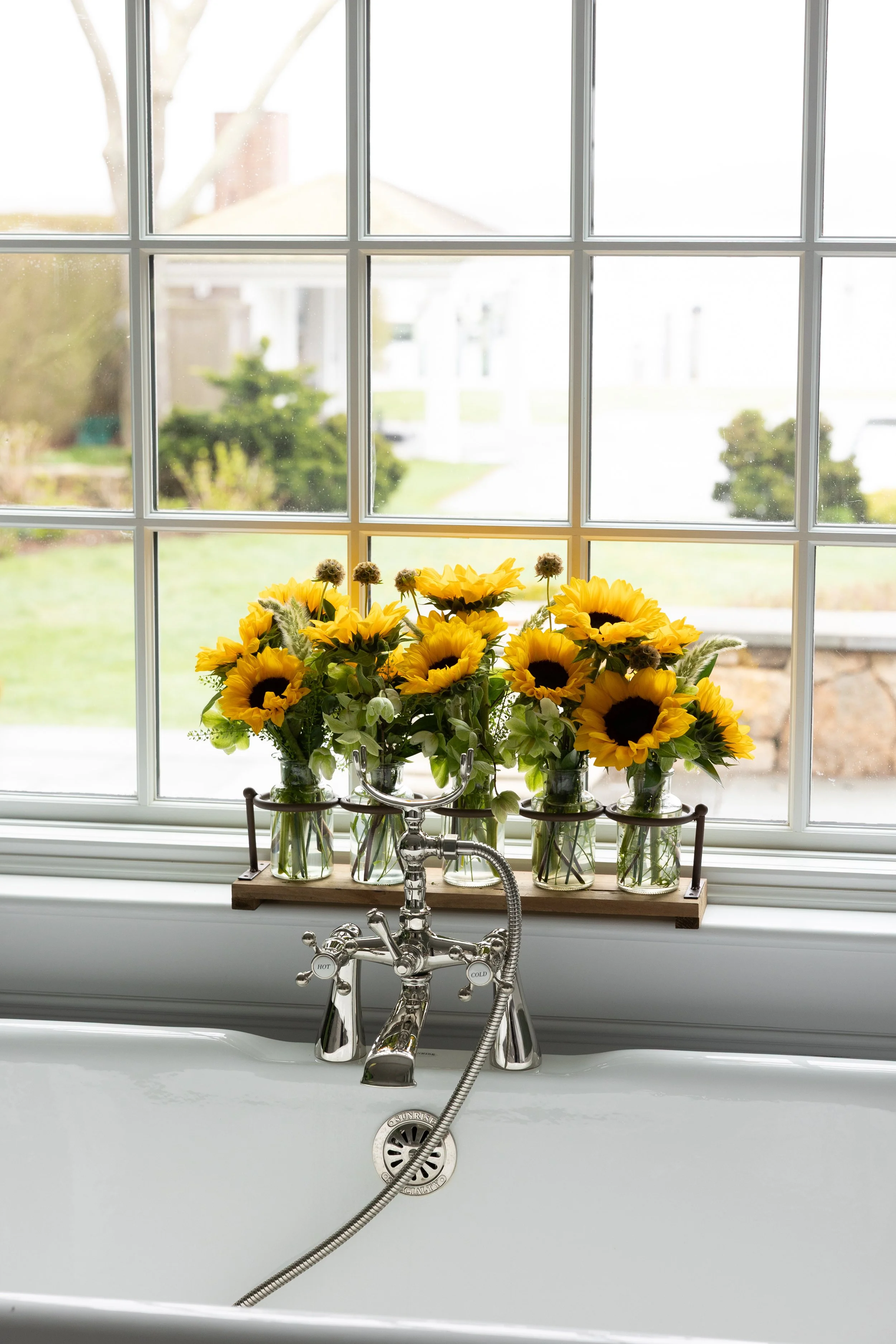 Donaroma -April 18, 2026-122- Larisa Stinga Photography.jpg