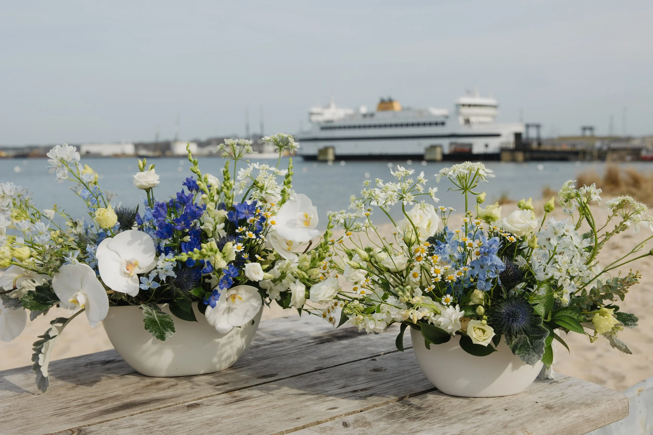 Donaroma -April 16, 2026-266- Larisa Stinga Photography.jpg