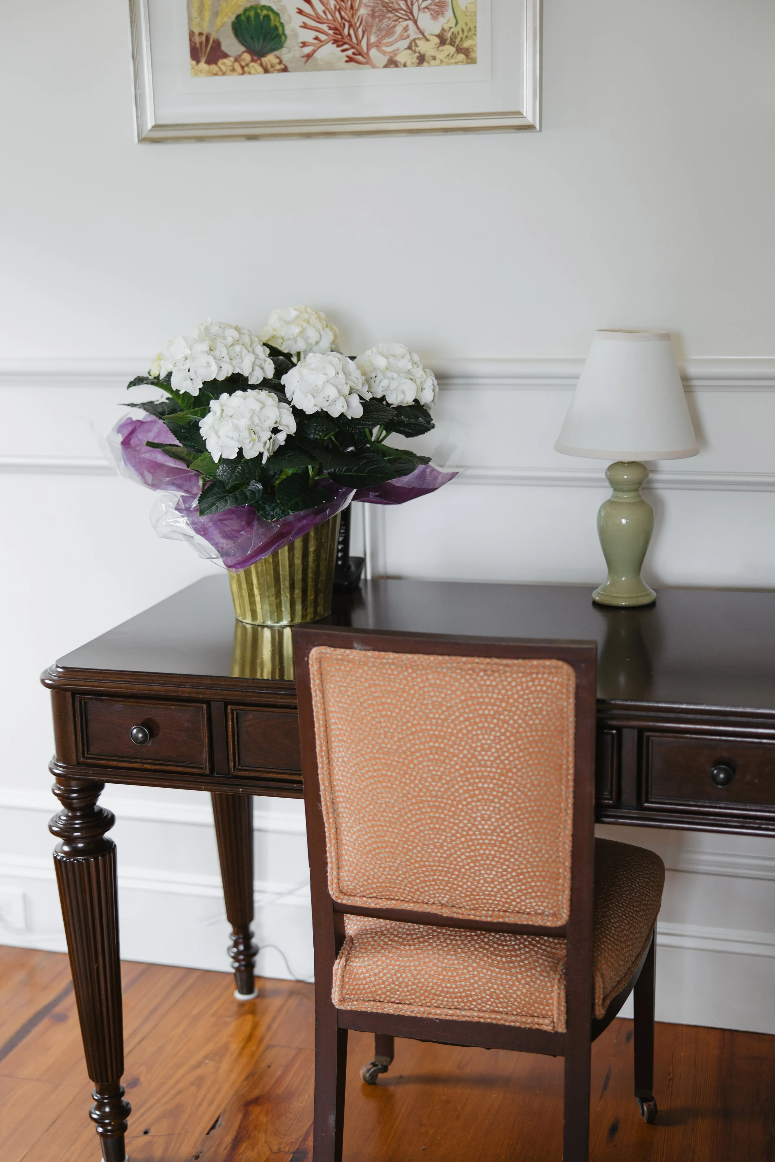 Donaroma -April 18, 2026-146- Larisa Stinga Photography.jpg