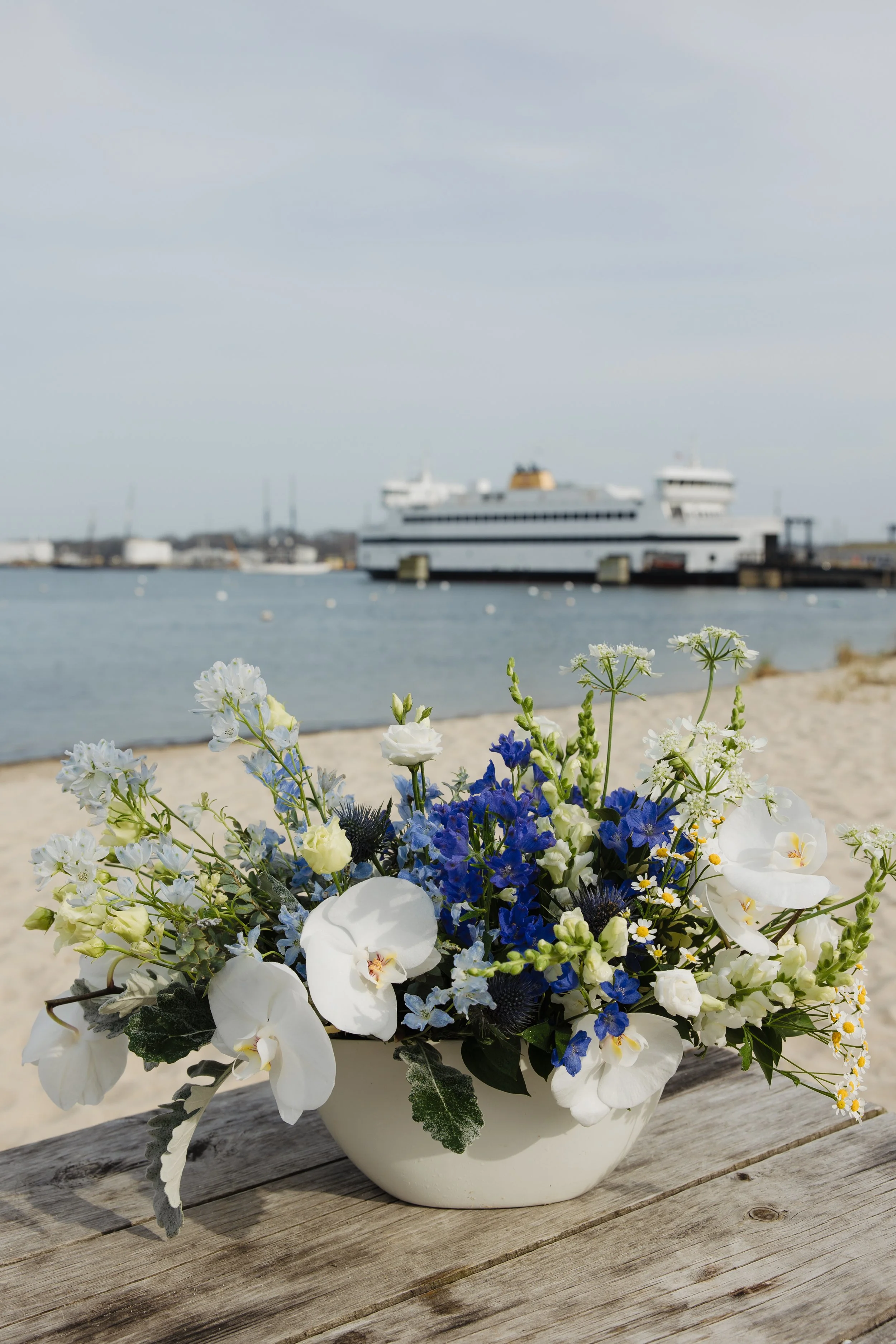 Donaroma -April 16, 2026-254- Larisa Stinga Photography.jpg