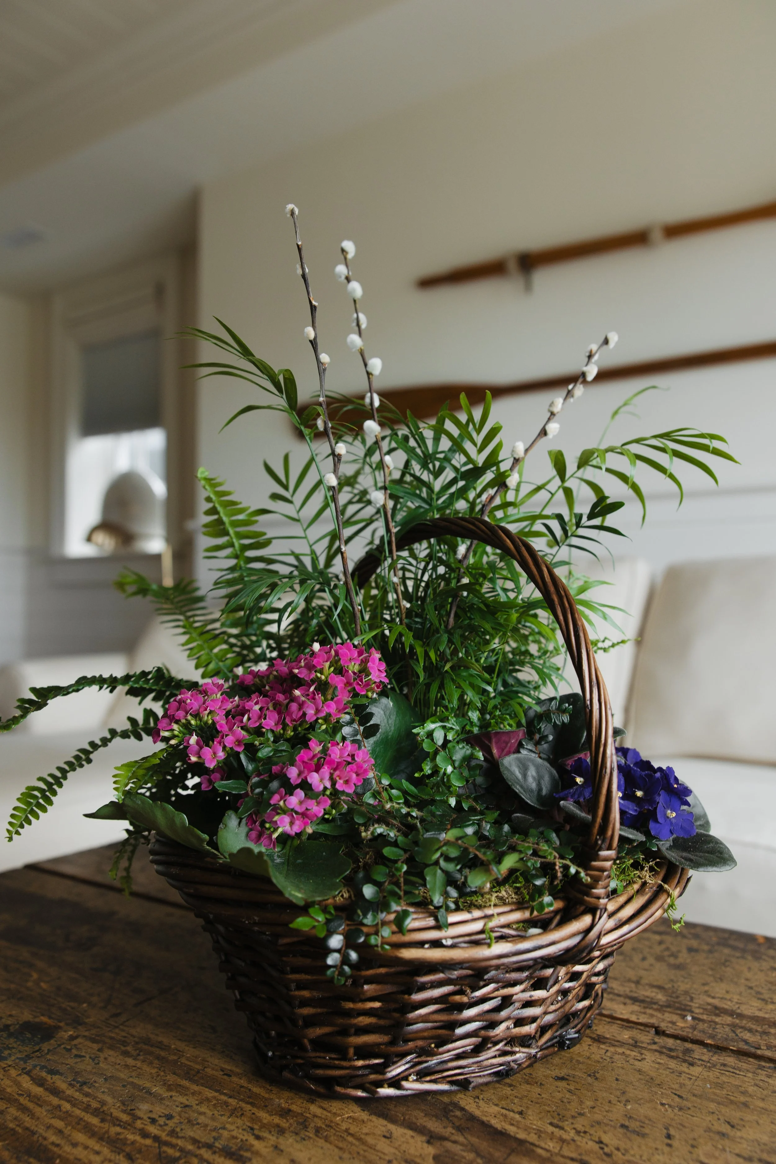 Donaroma -April 18, 2026-137- Larisa Stinga Photography.jpg