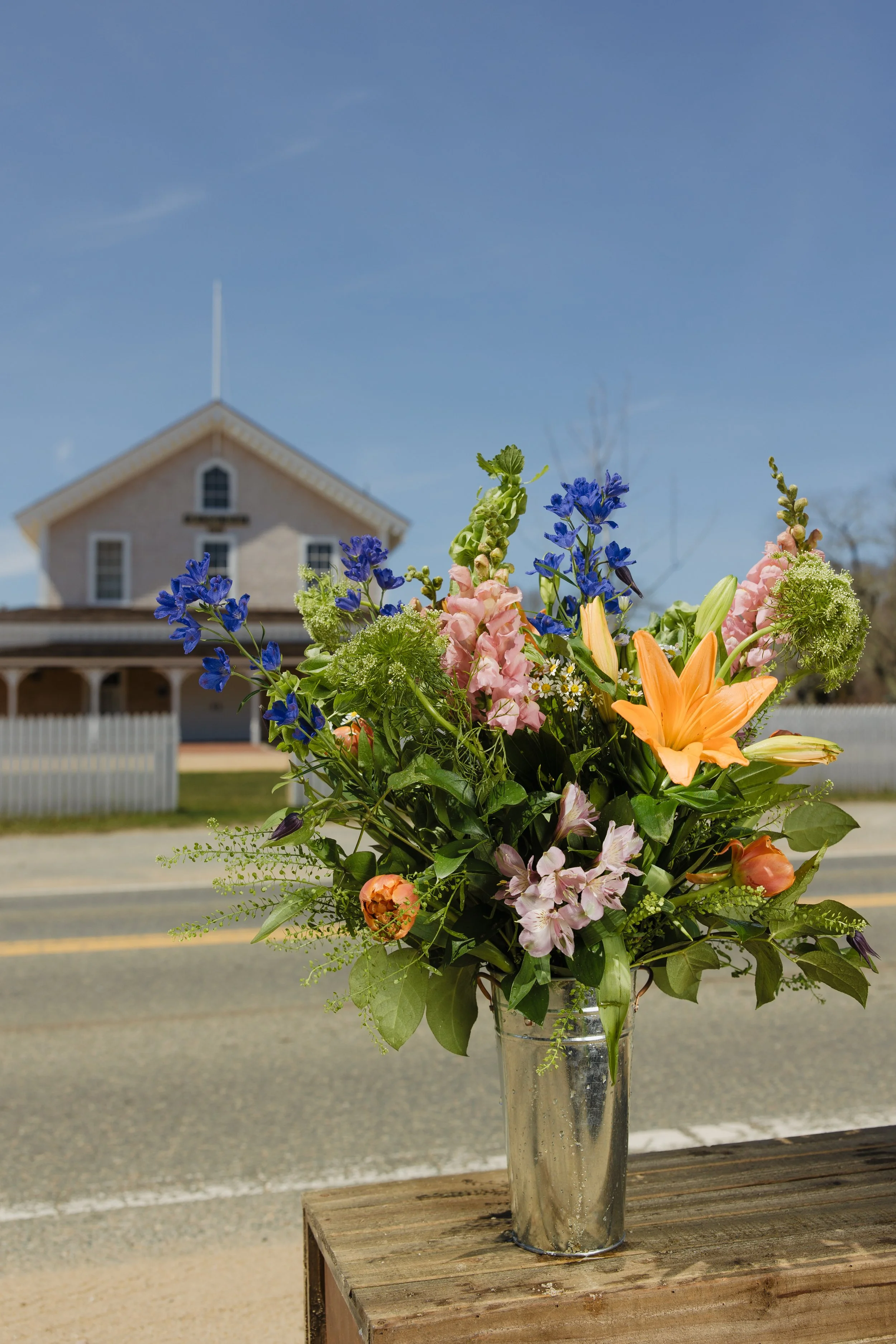 Donaroma -April 16, 2026-129- Larisa Stinga Photography.jpg