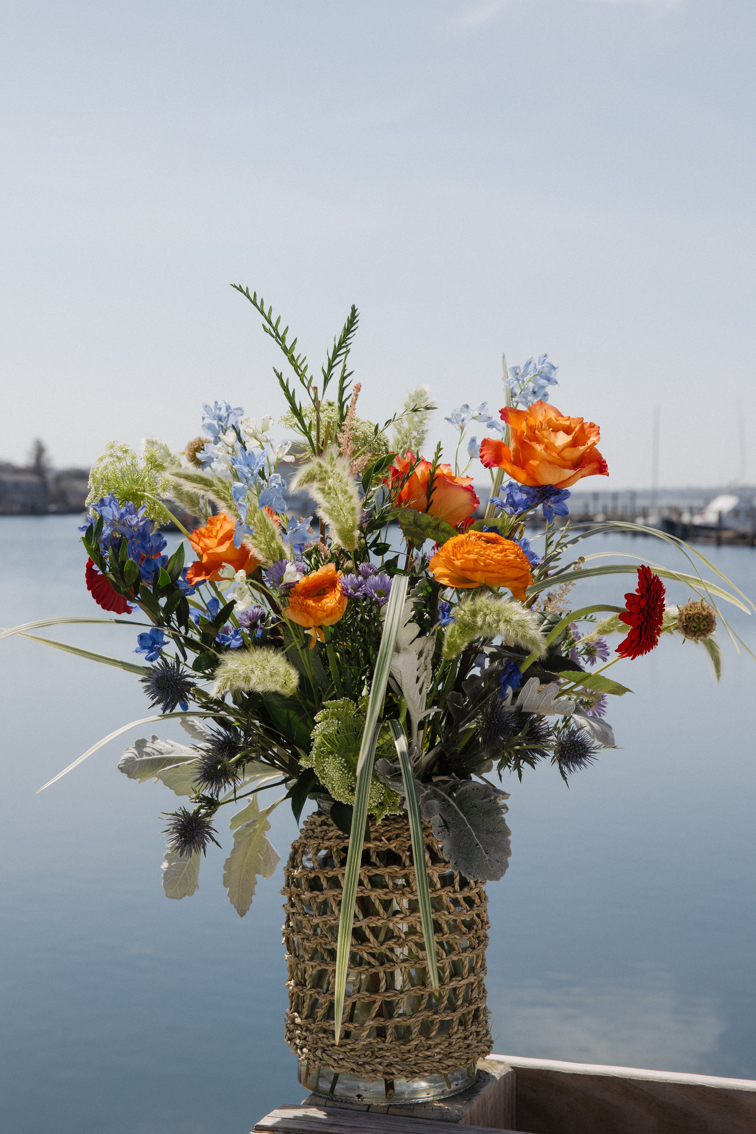 Donaroma -April 16, 2026-048- Larisa Stinga Photography.jpg